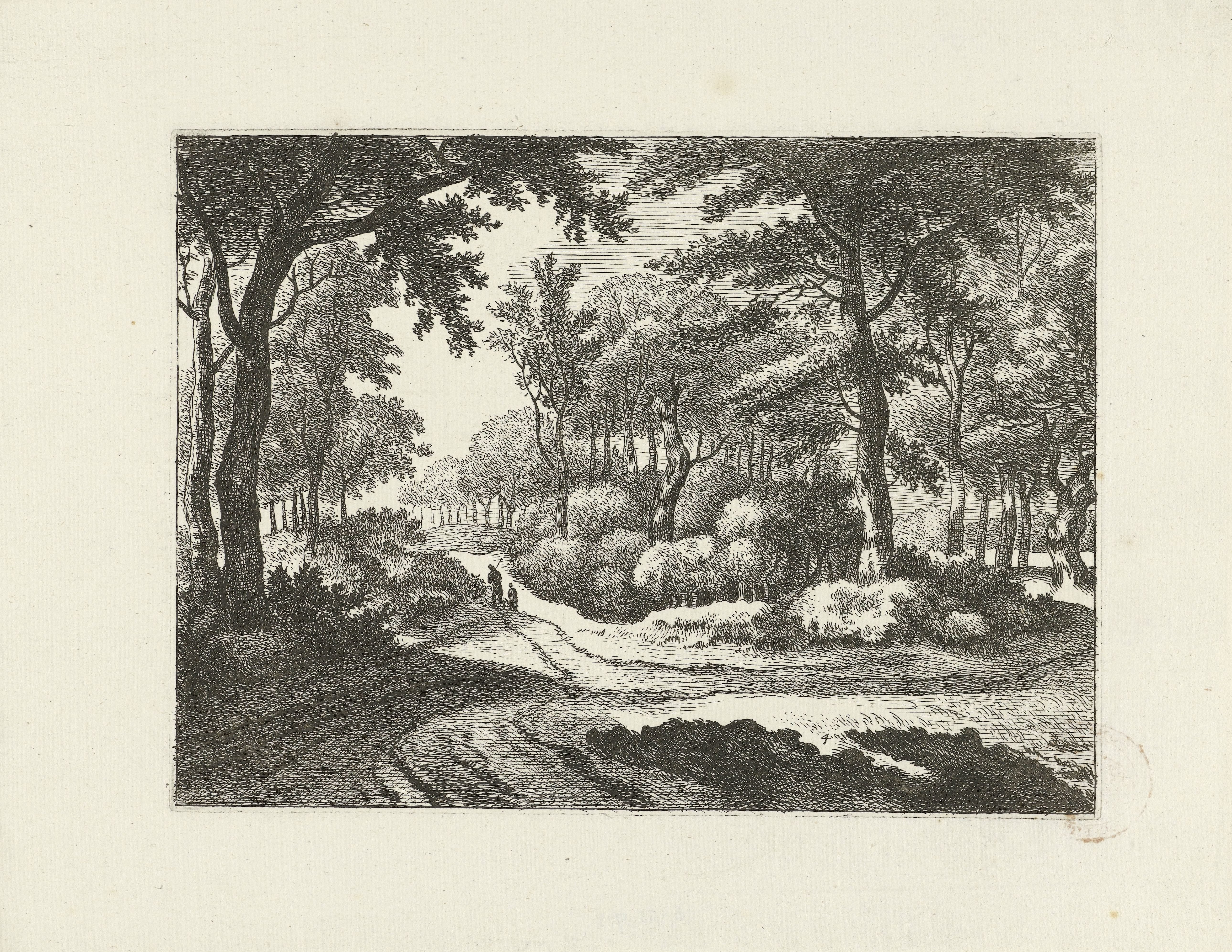 Boslandschap met twee wandelaars
