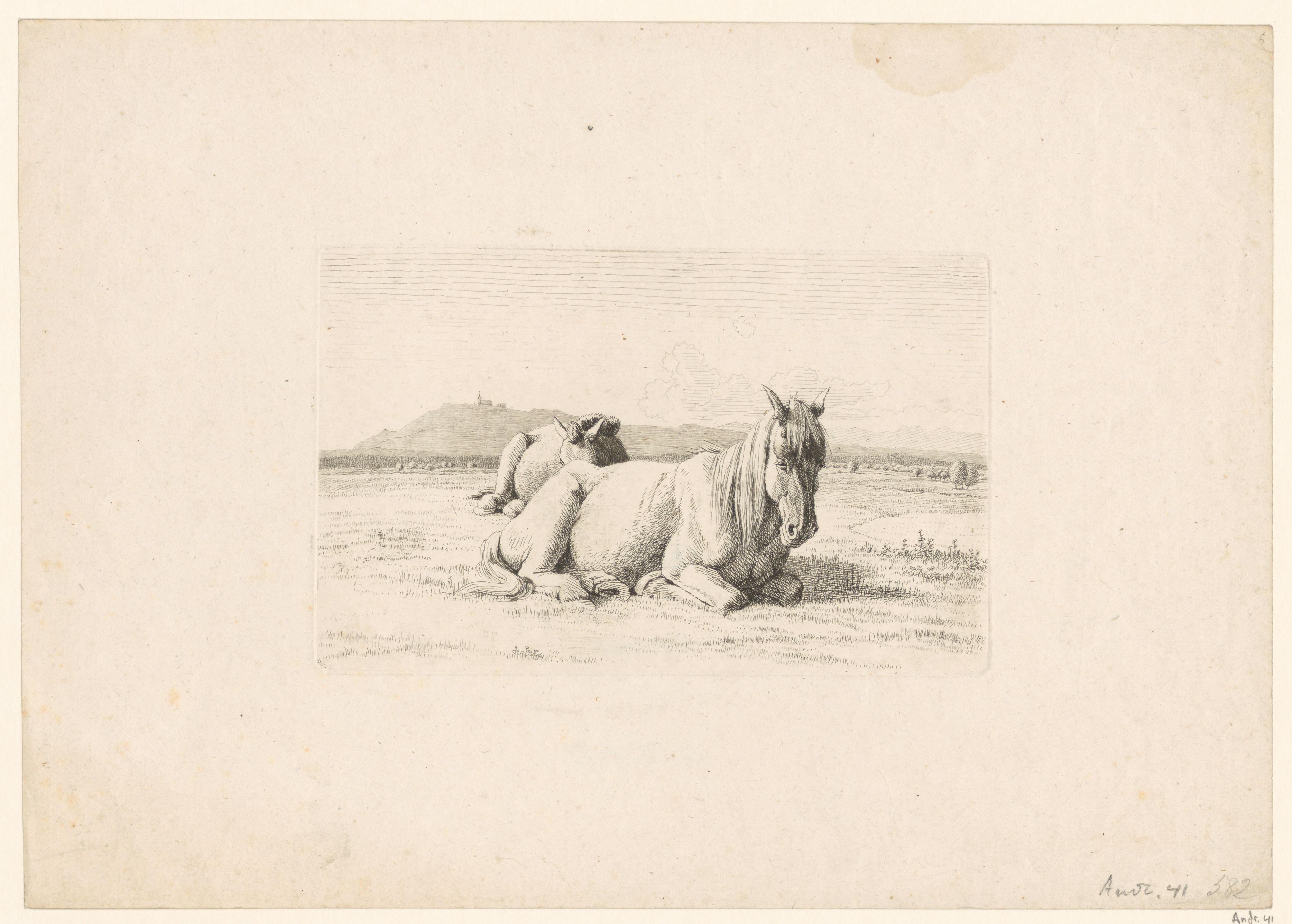 Paard met veulen in een weiland