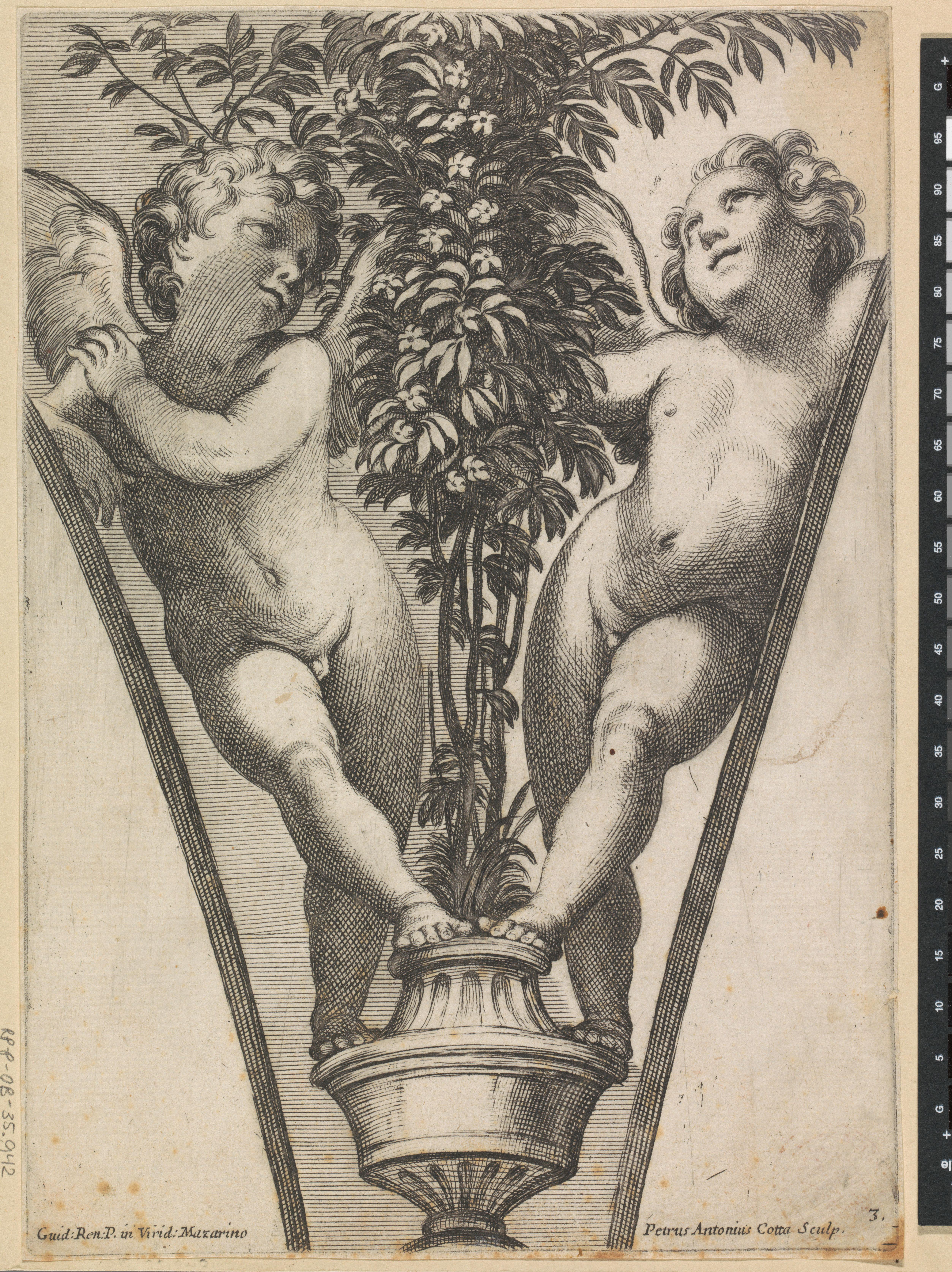 Twee putti bij een plant in pot