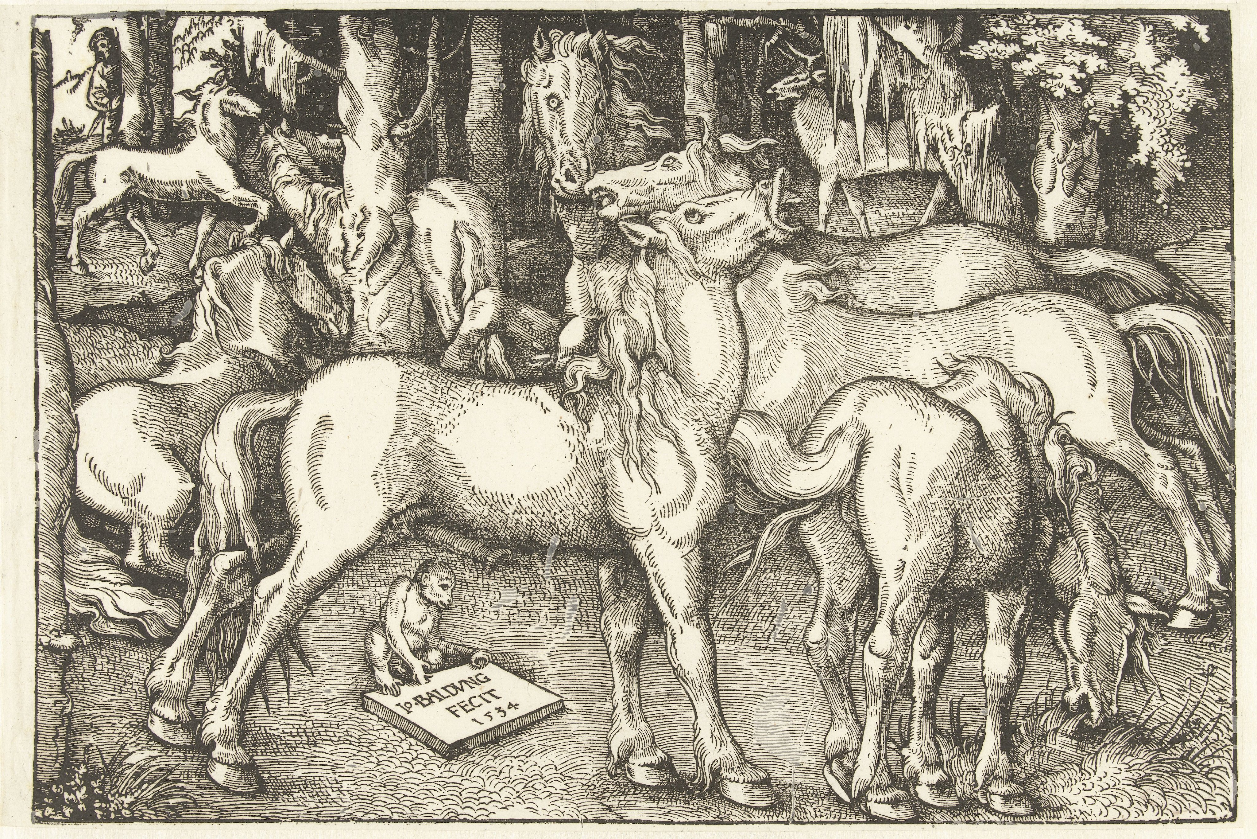 Groep van zeven paarden en een aap