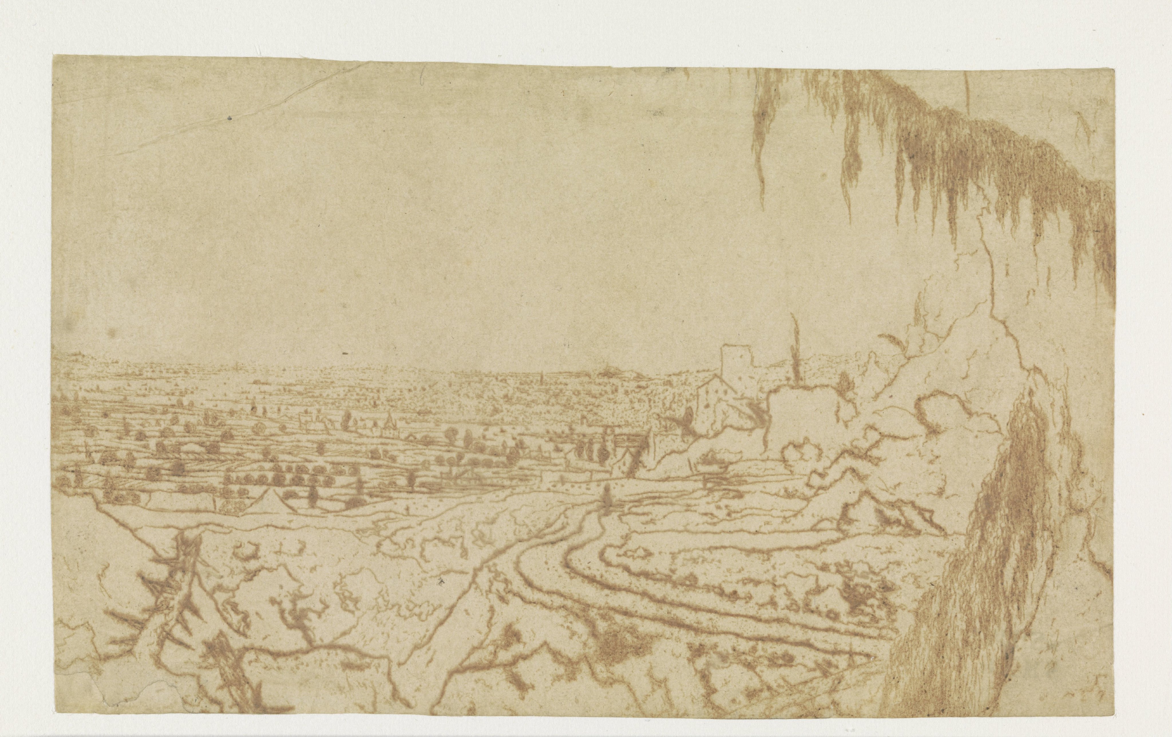 Distant View with a Road and Mossy Branches