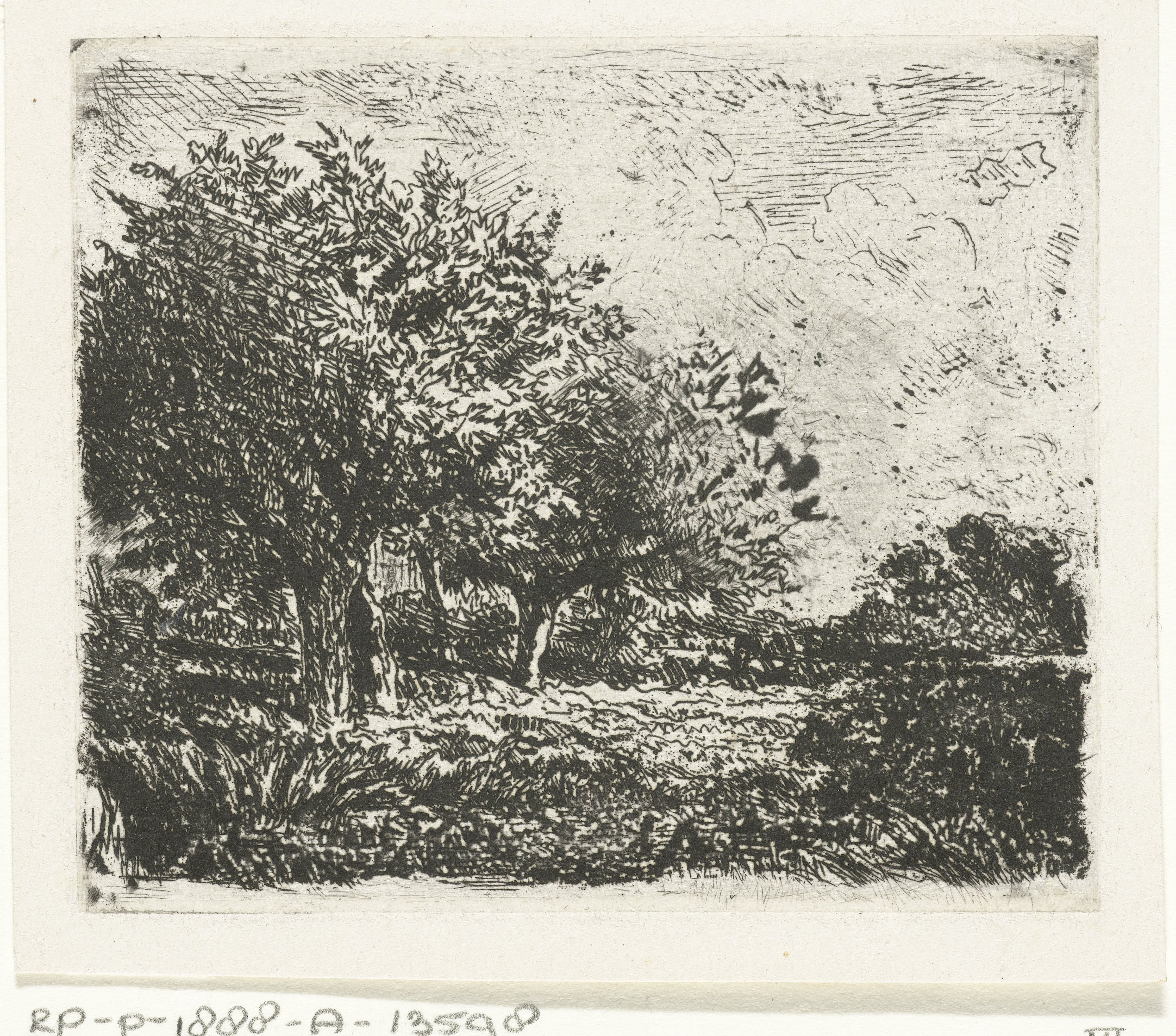 Landschap met wilgen