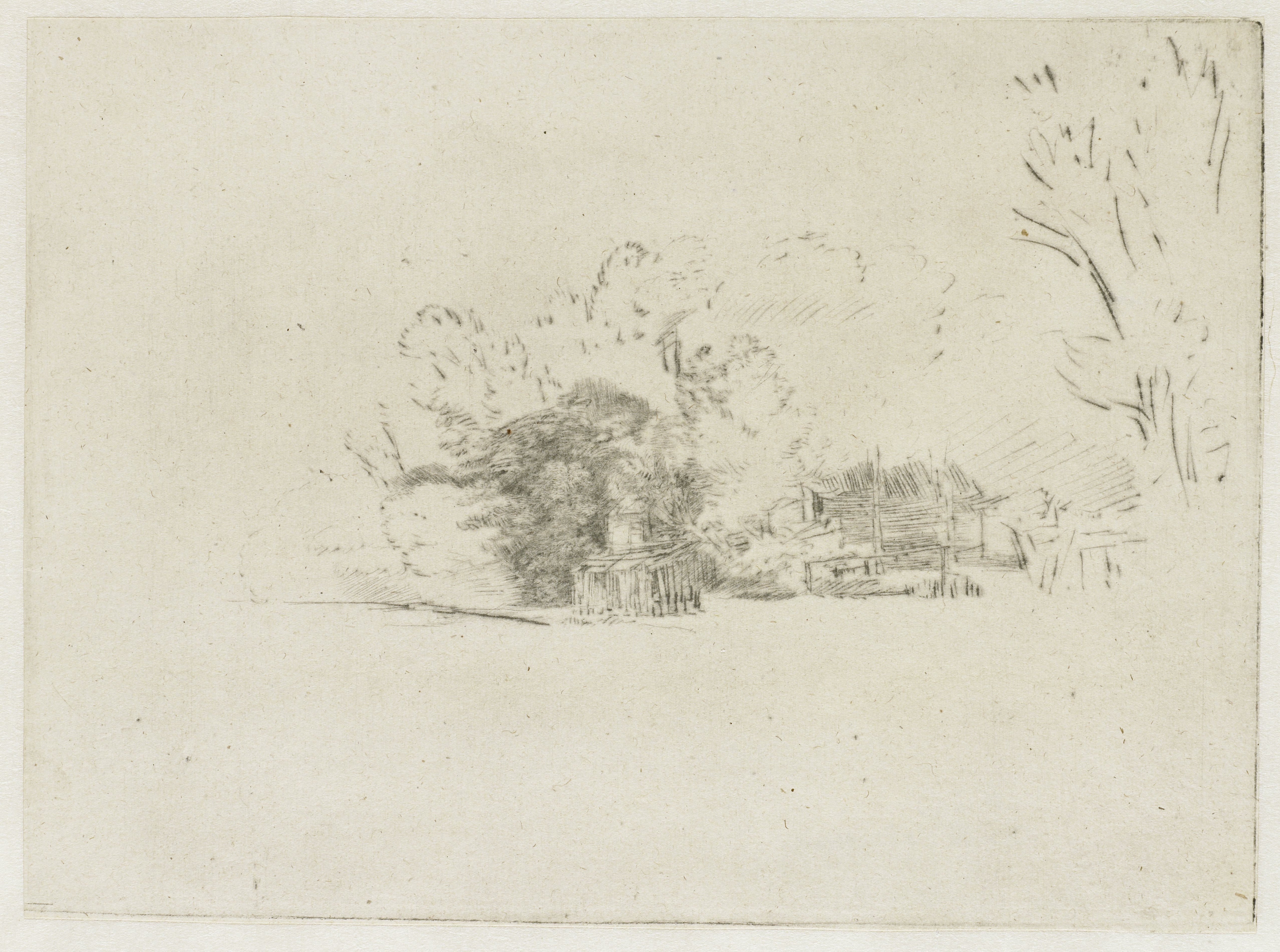Clump of trees with a vista