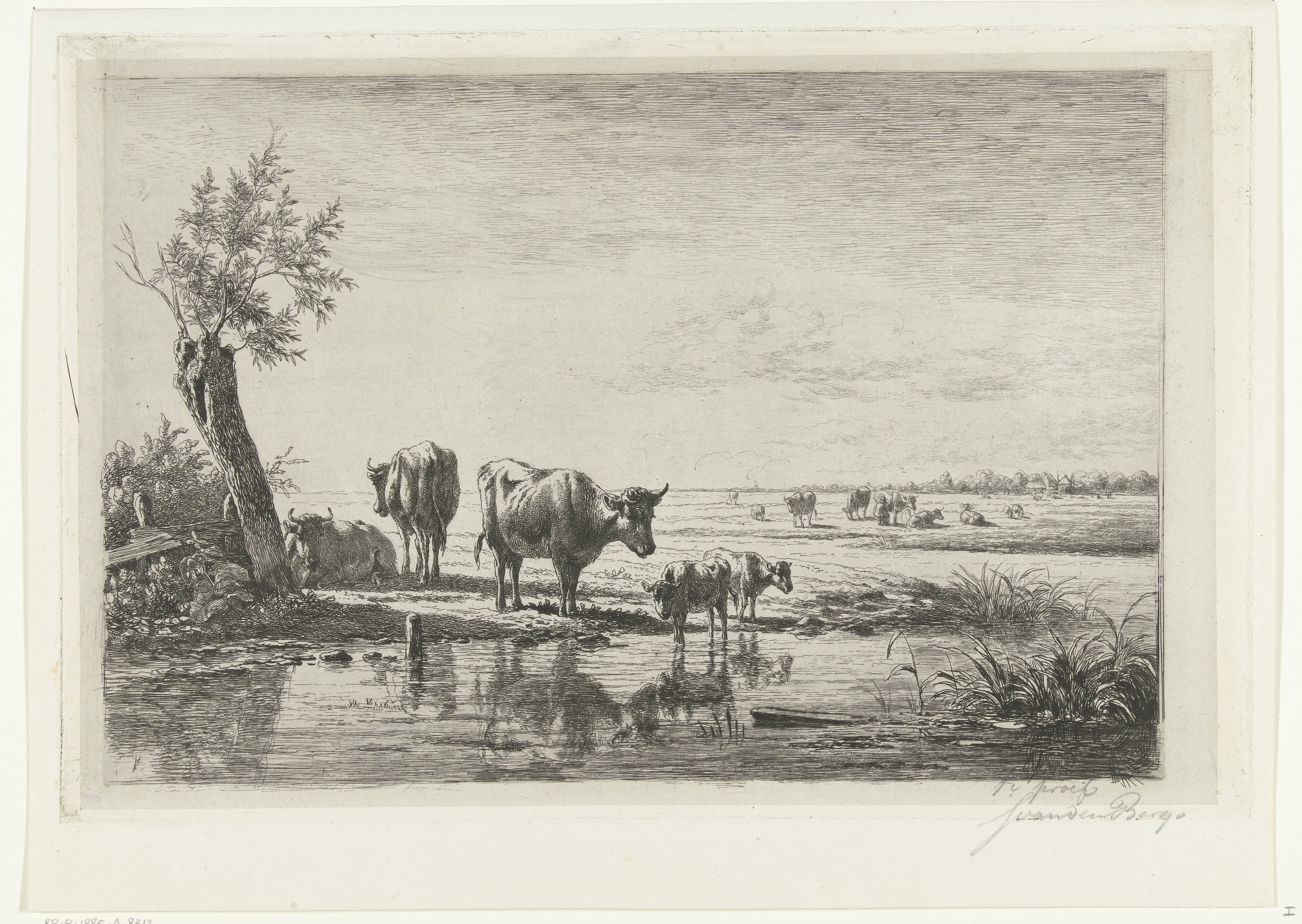 Weidelandschap met koeien bij water