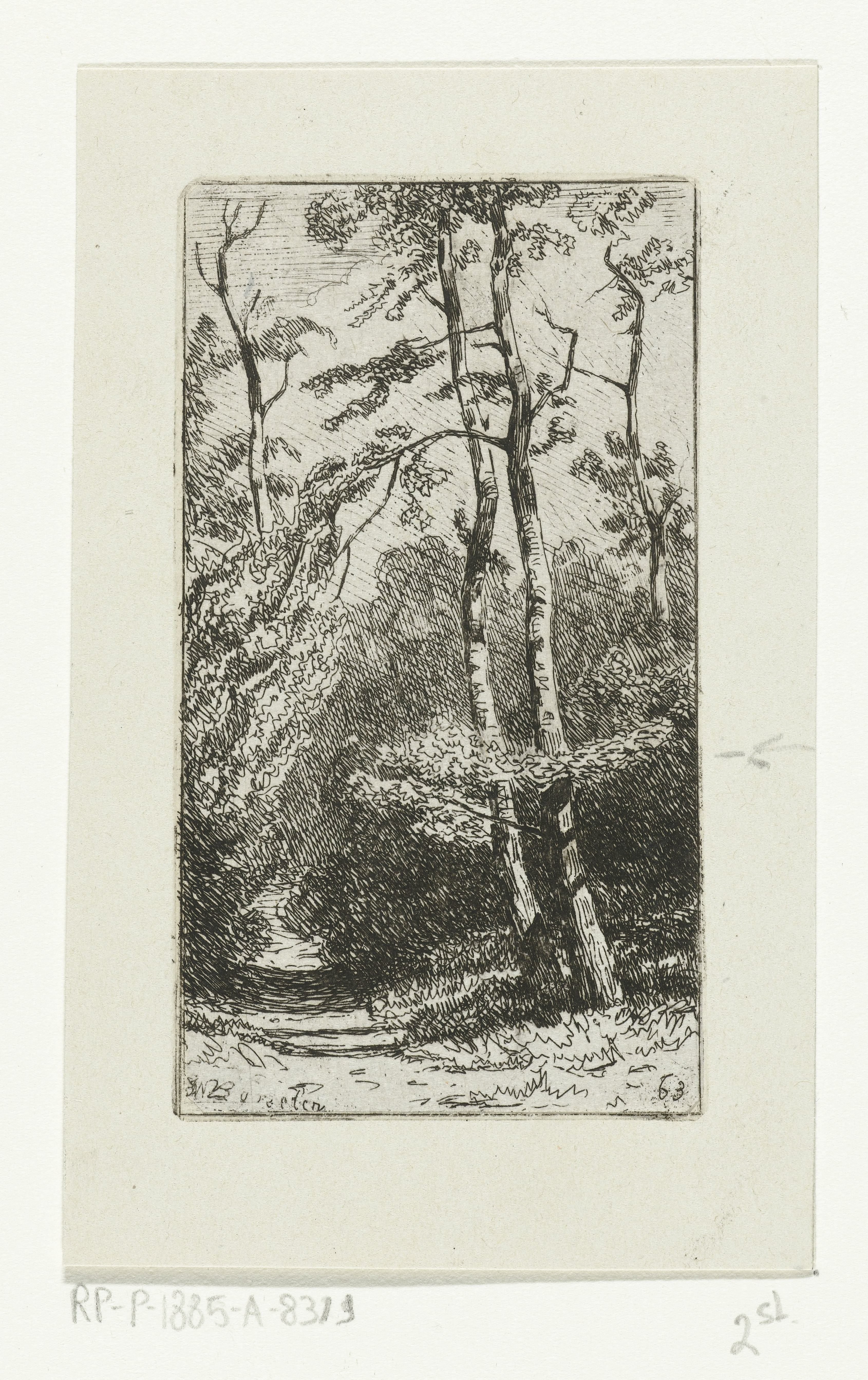 Landschap met berken