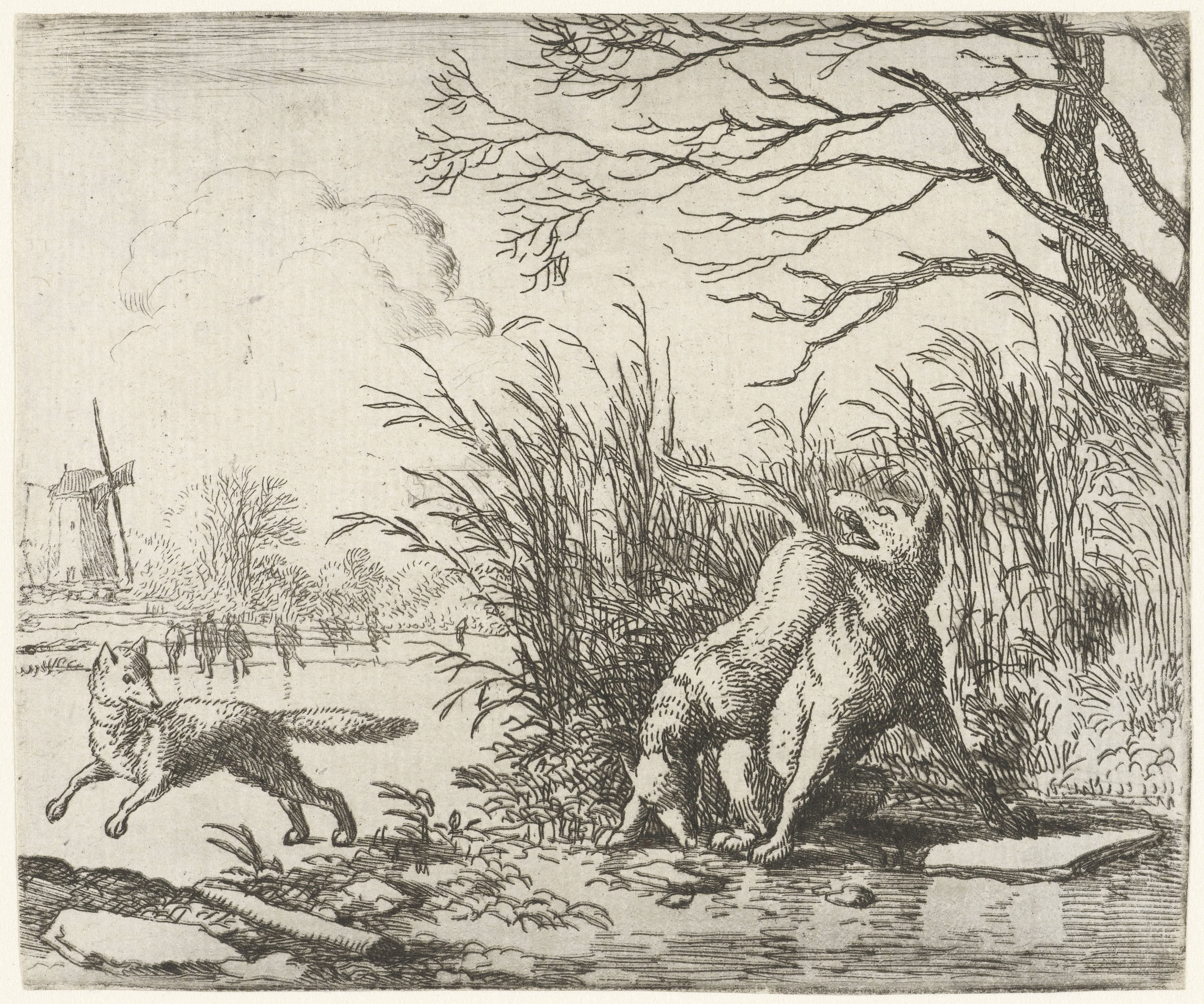 Landschap met twee vossen en een wolf