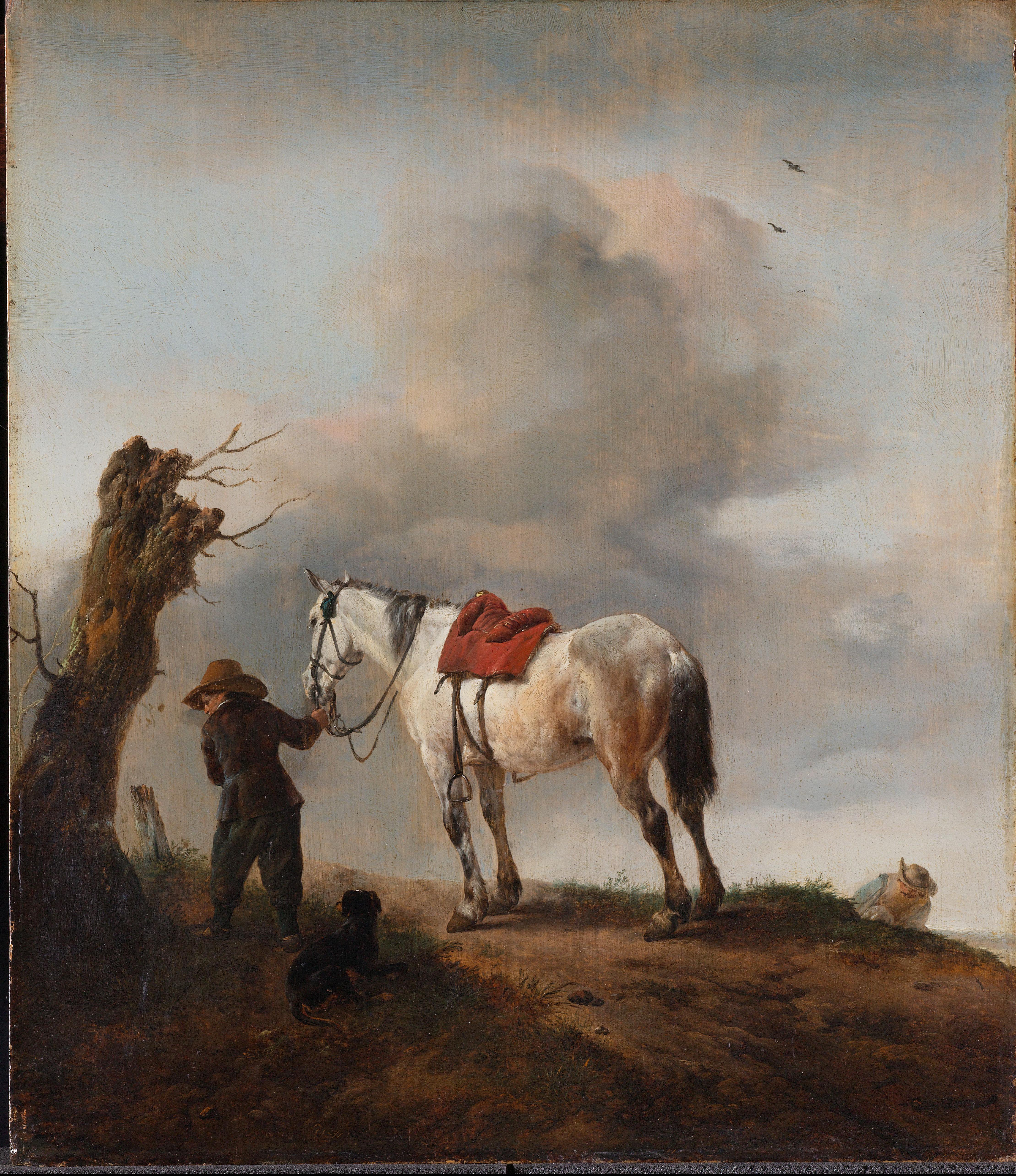 De schimmel
