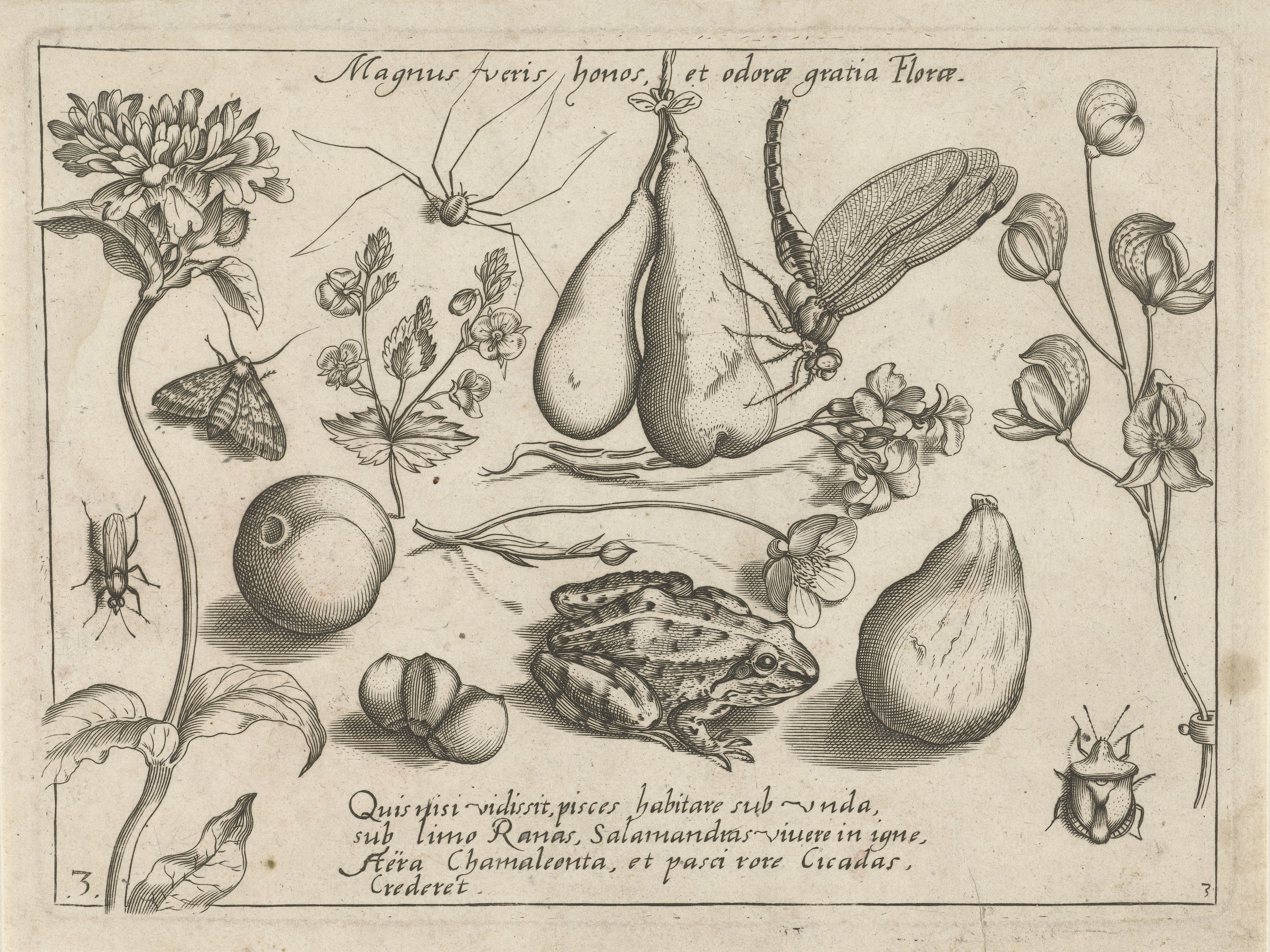 Dieren, bloemen en vruchten rond hangende peren
