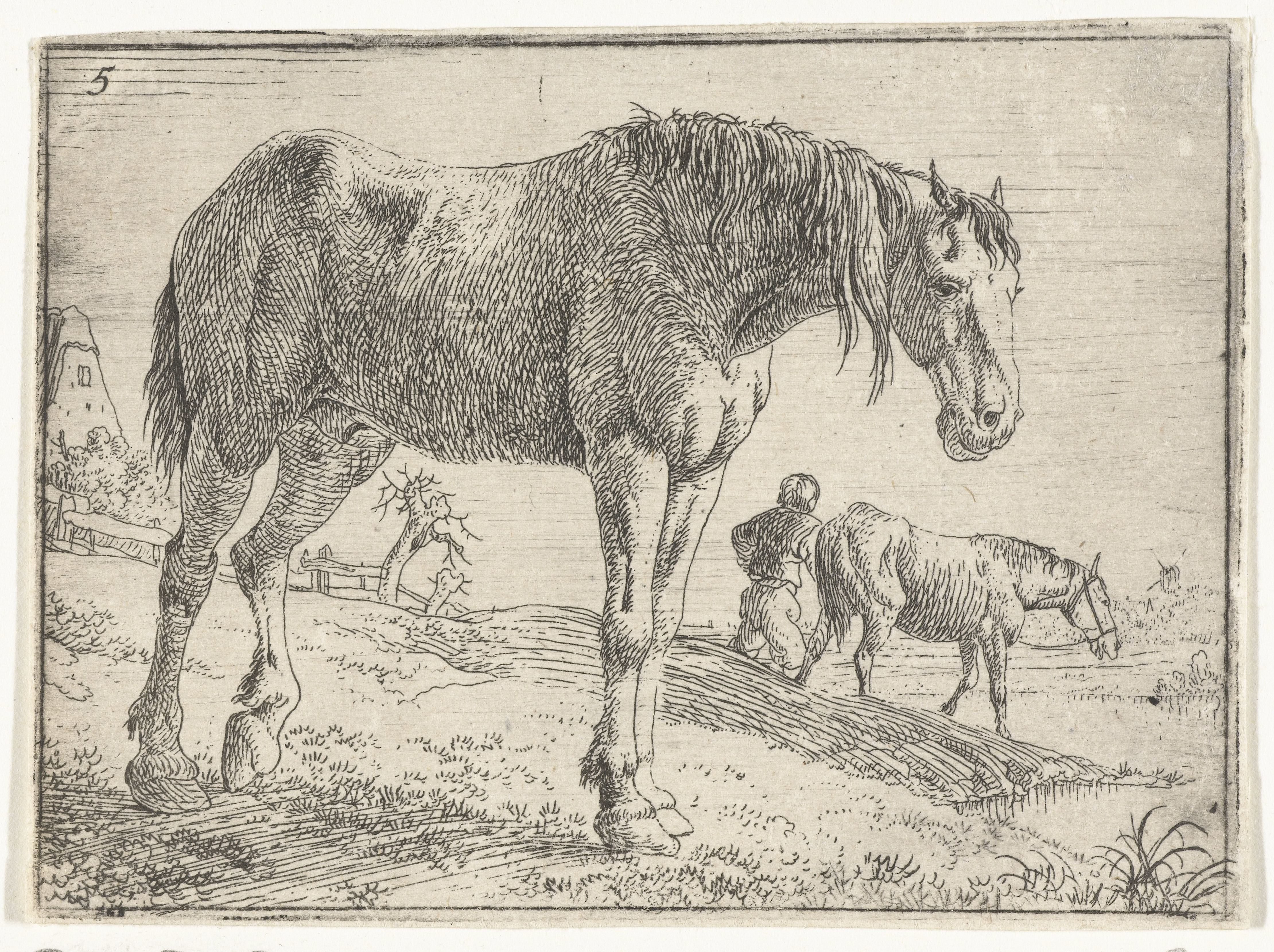 Staand paard