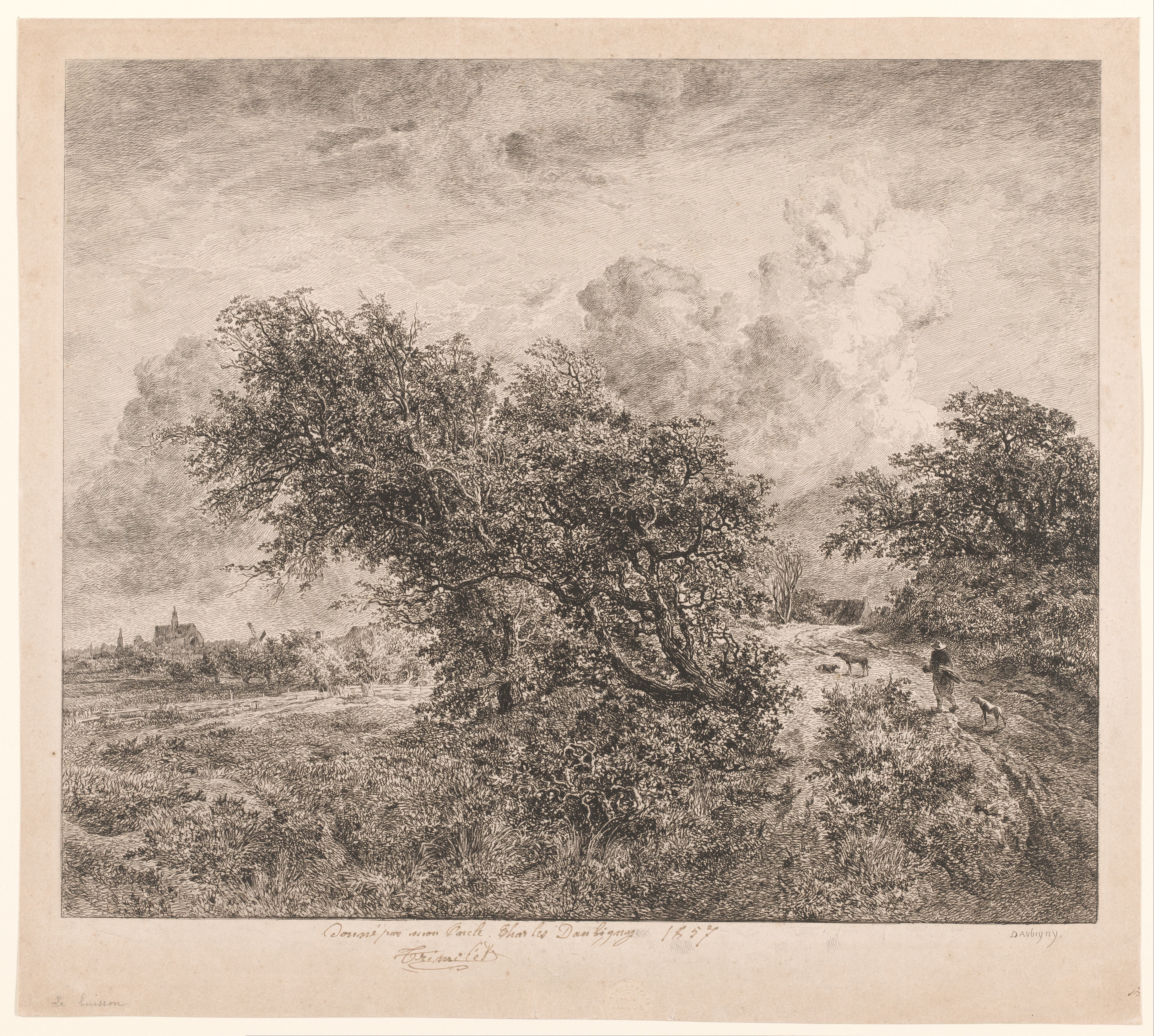 Landschap met grote struiken en wandelaar