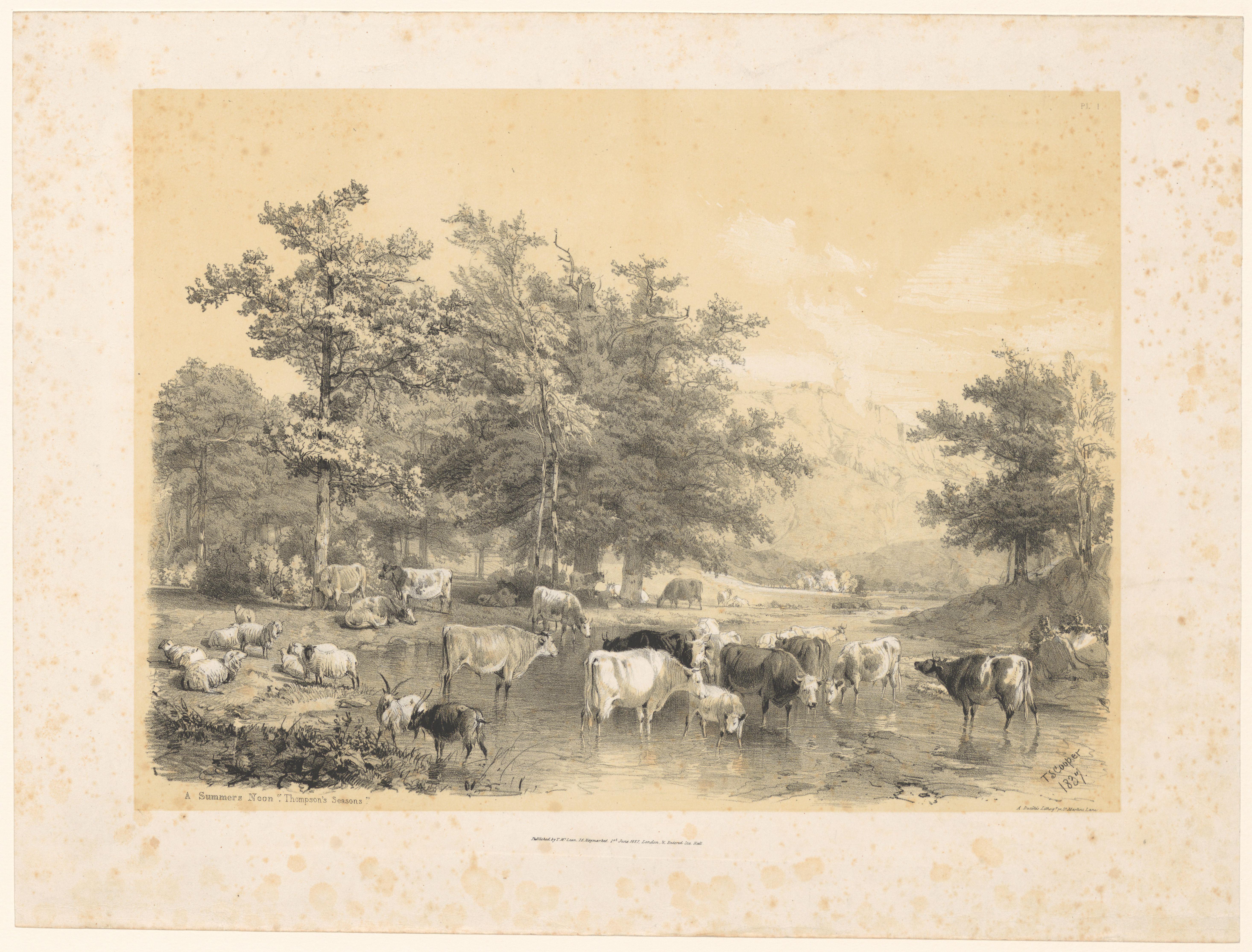 Runderen, schapen en geiten bij een waterplas