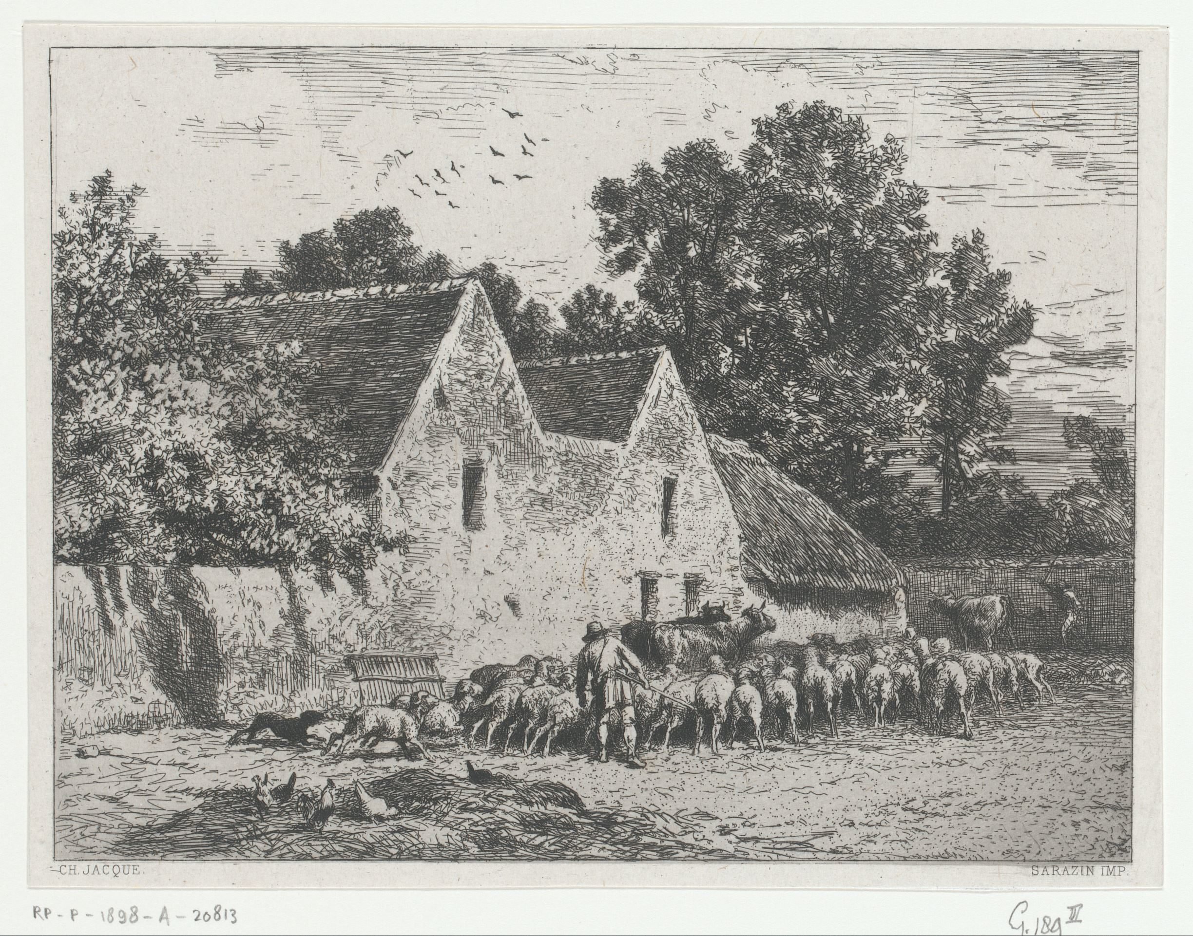 Boeren brengen kudde op stal