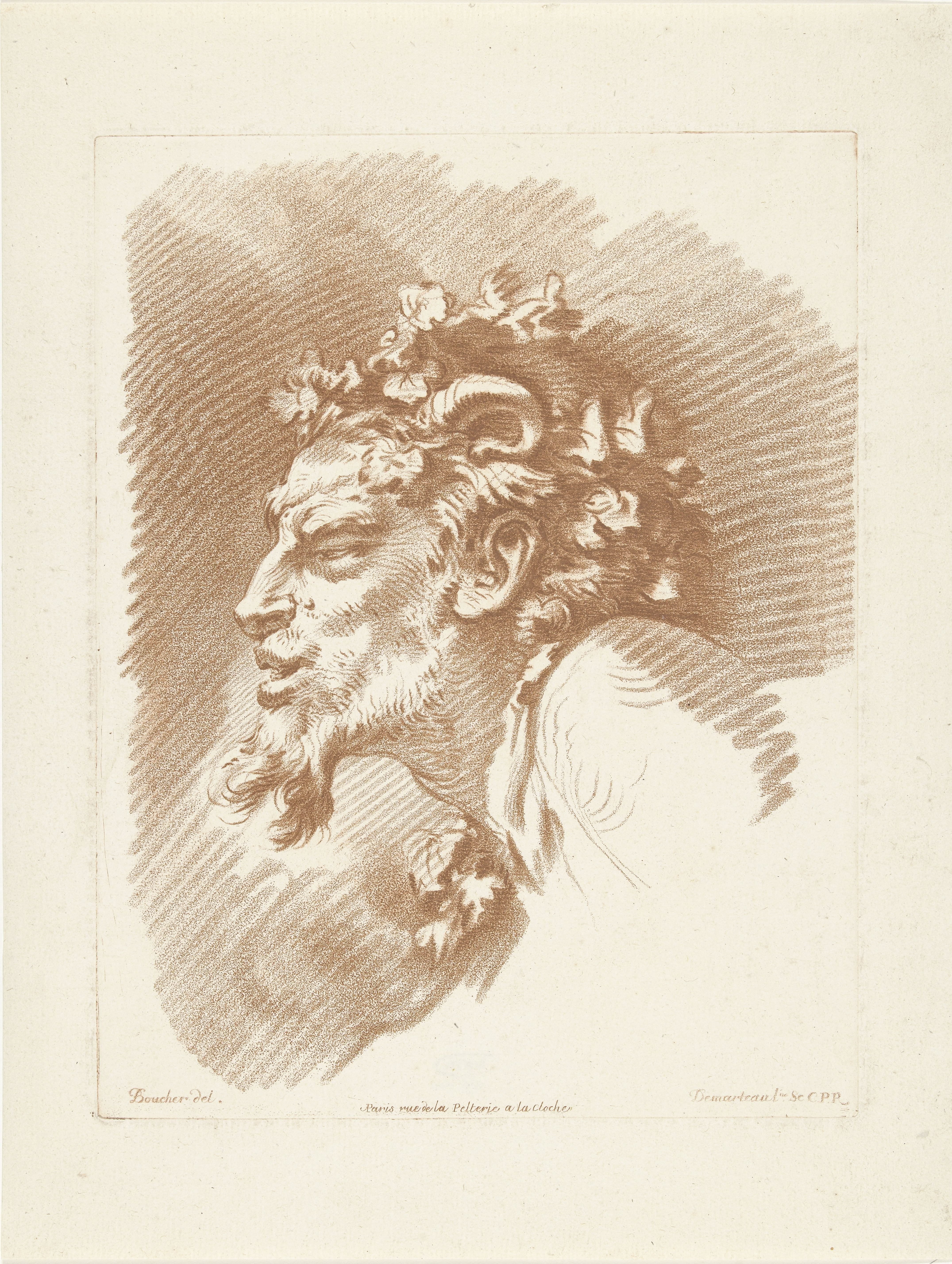 Kop van sater