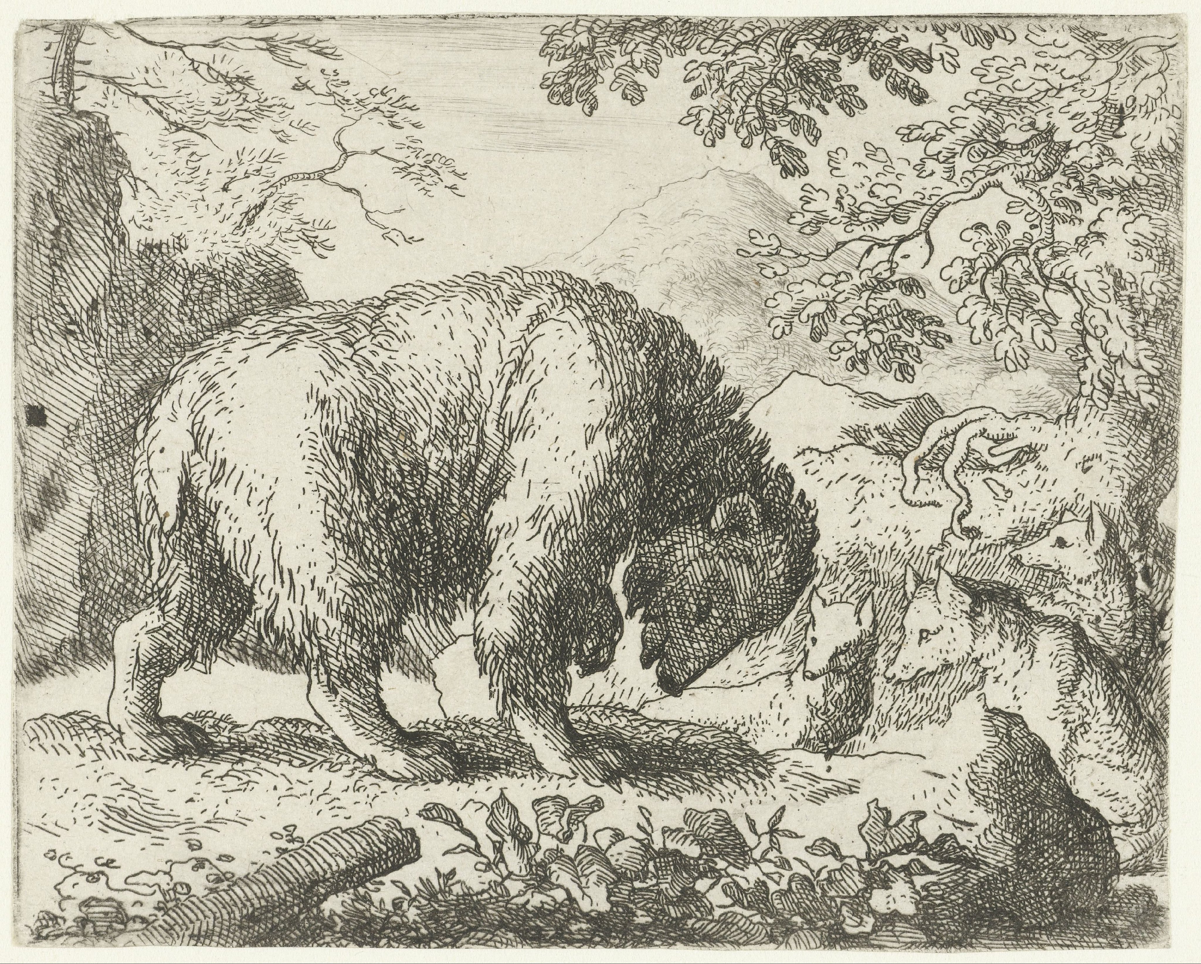 Reinaert de vos belooft Bruun de beer honing