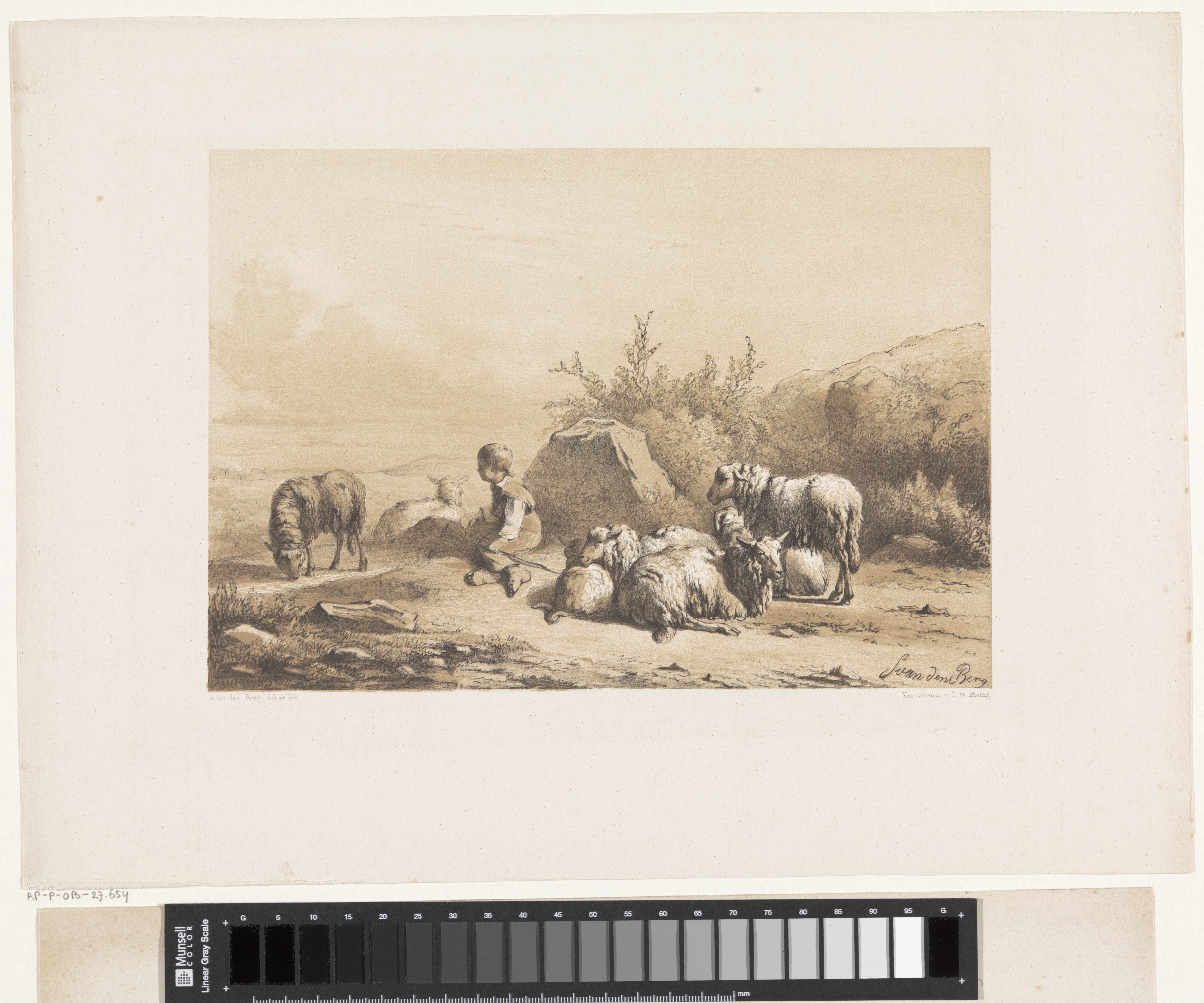 Herder en schapen