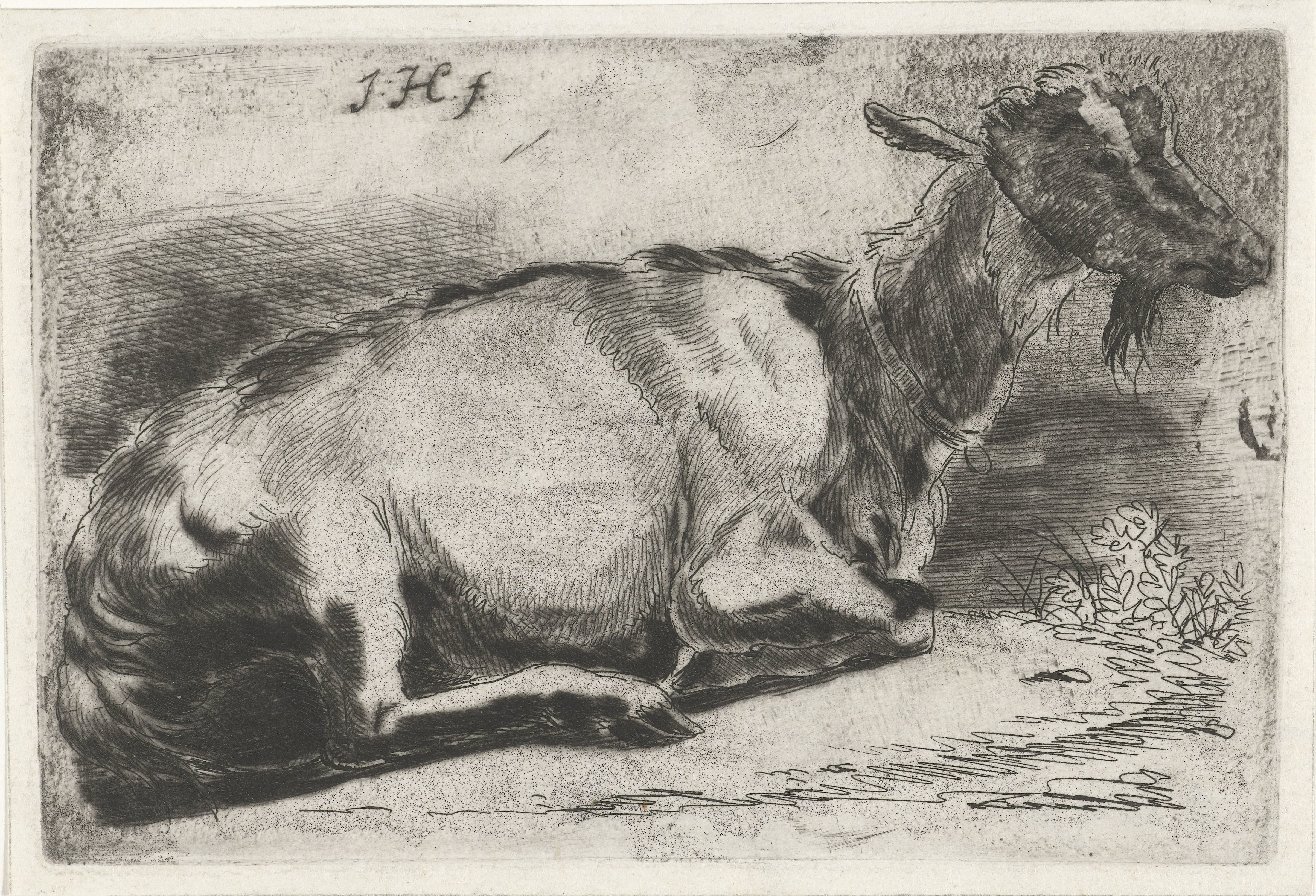 Liggende geit
