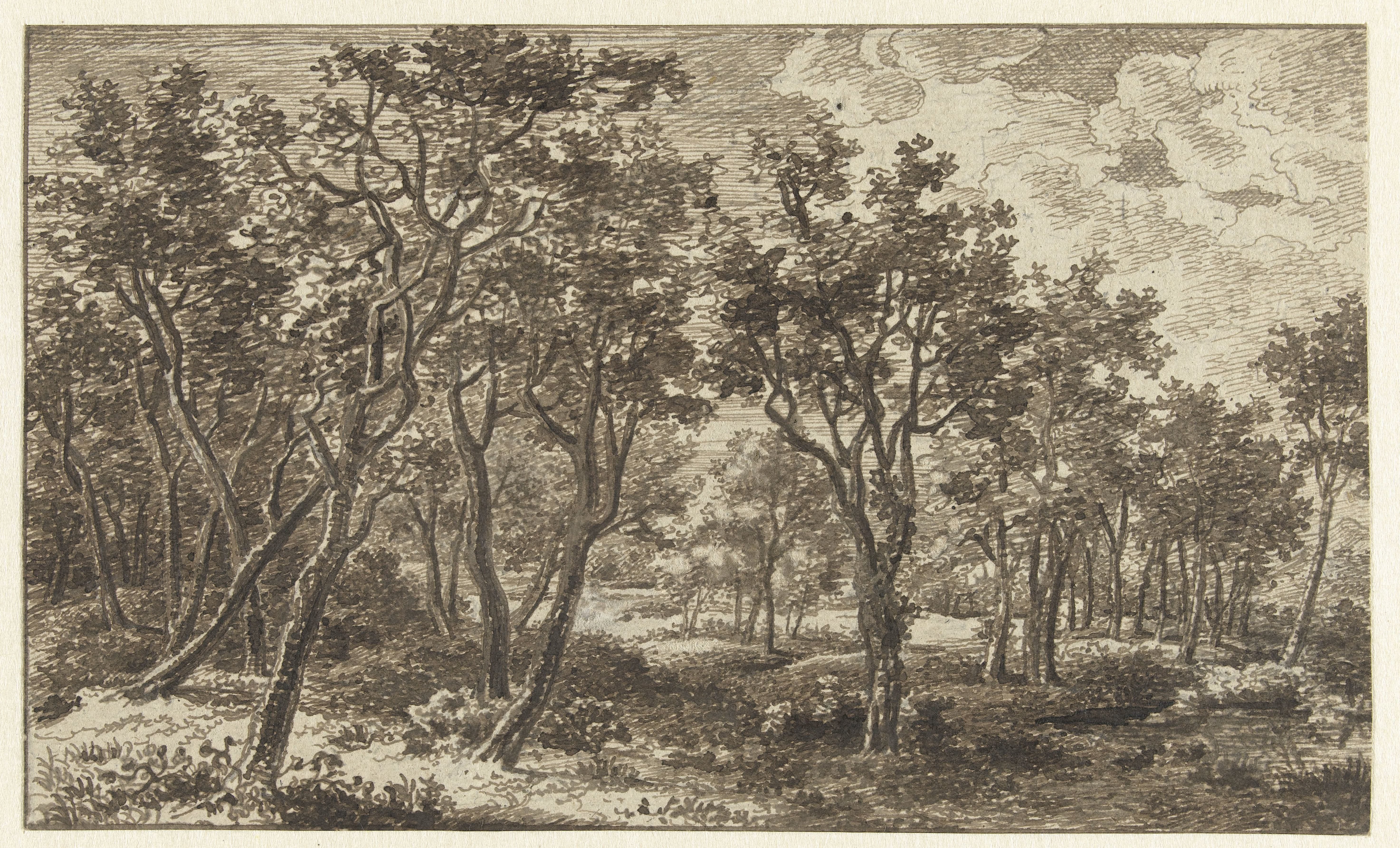 Boslandschap in het landgoed Zon, nabij Eindhoven
