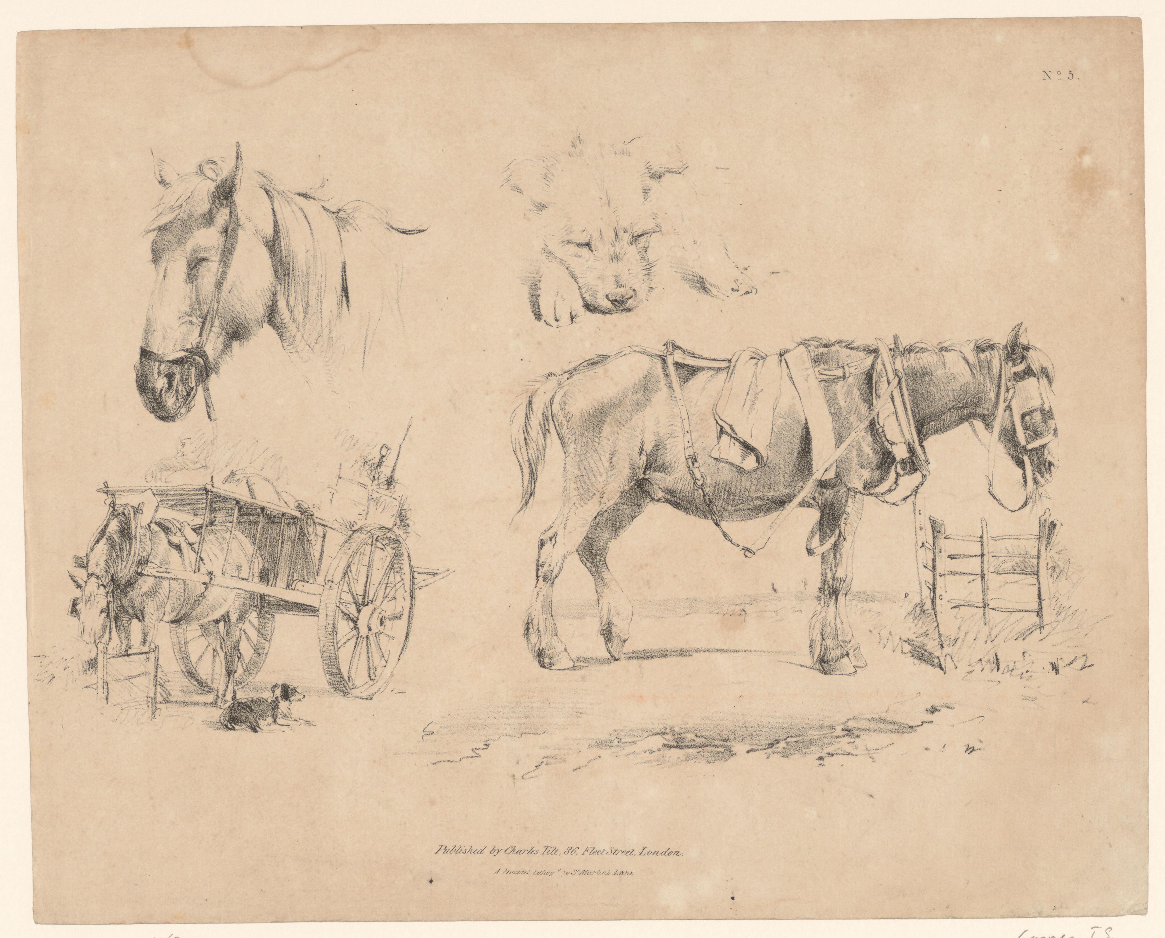 Voorstellingen van paarden en een hond