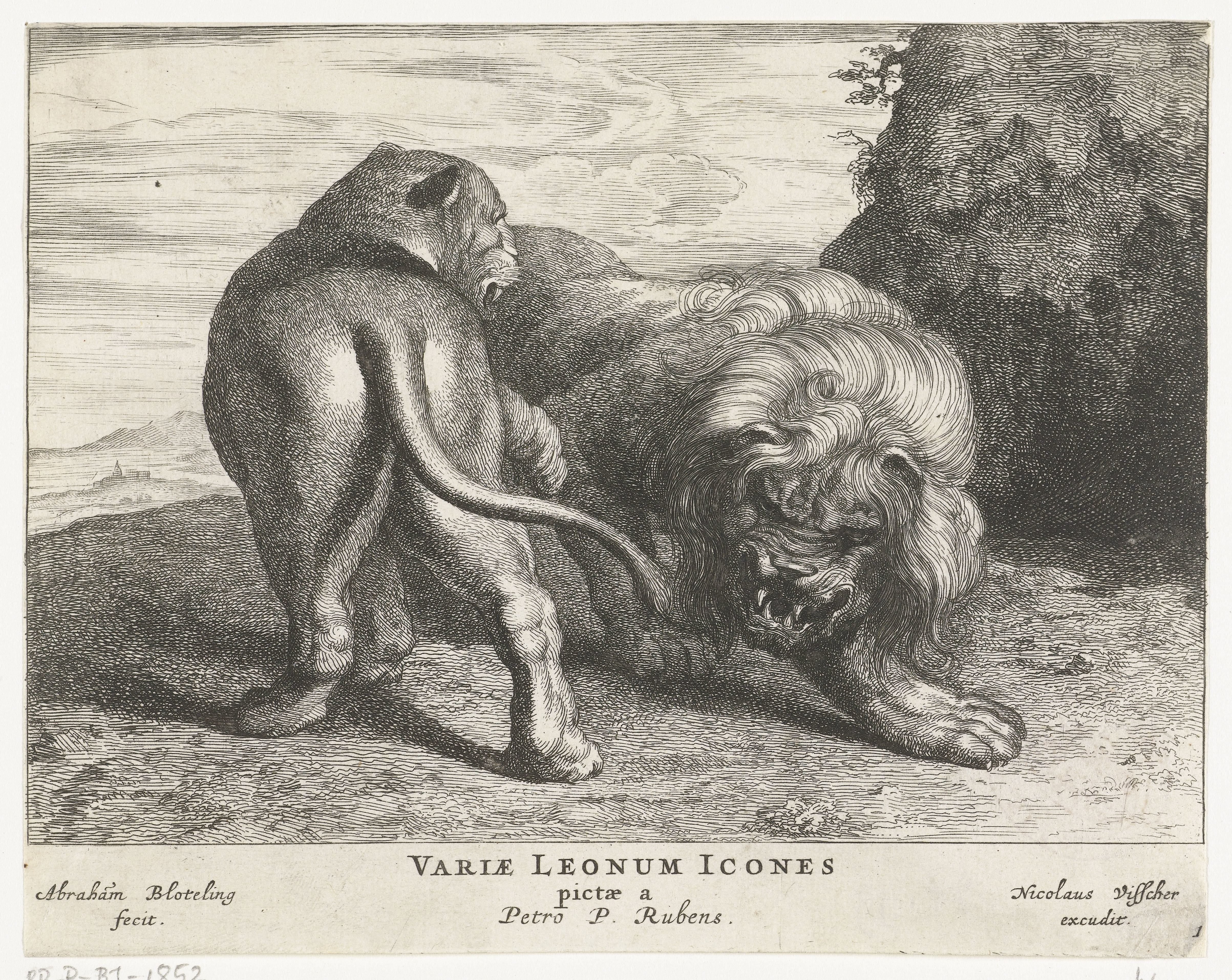 Leeuw met leeuwin