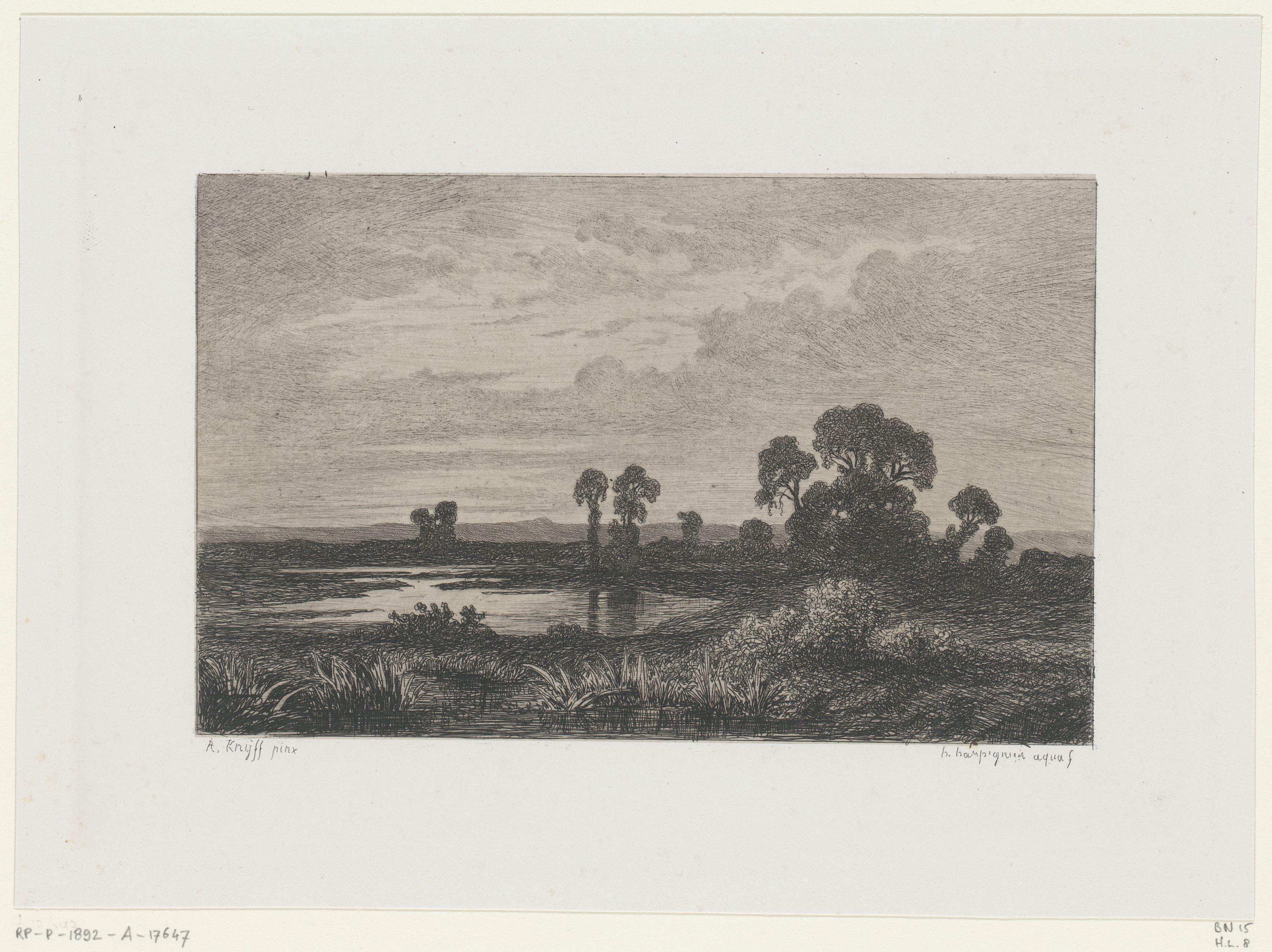 Landschap met bomen bij een plas