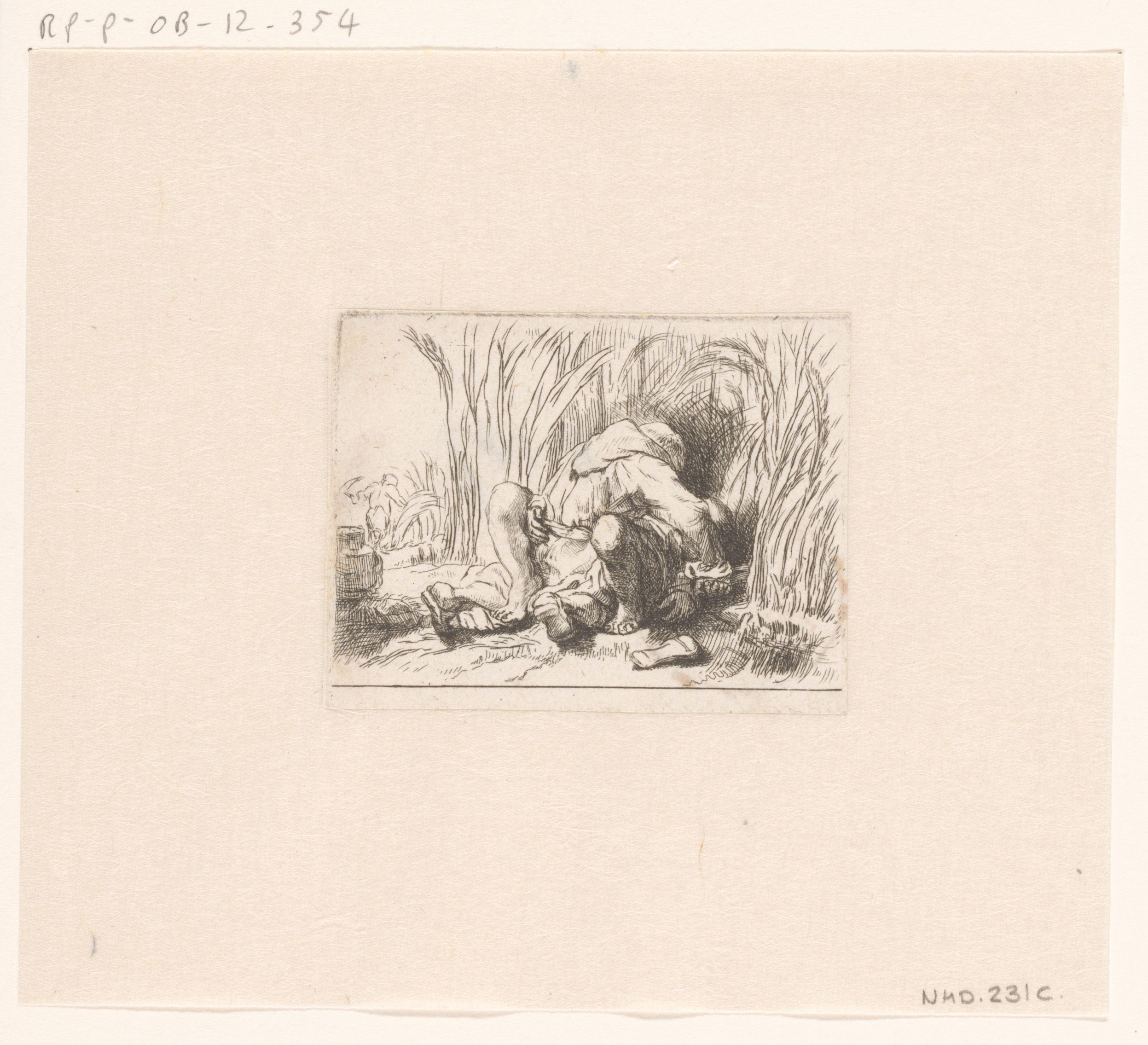 The monk in the cornfield