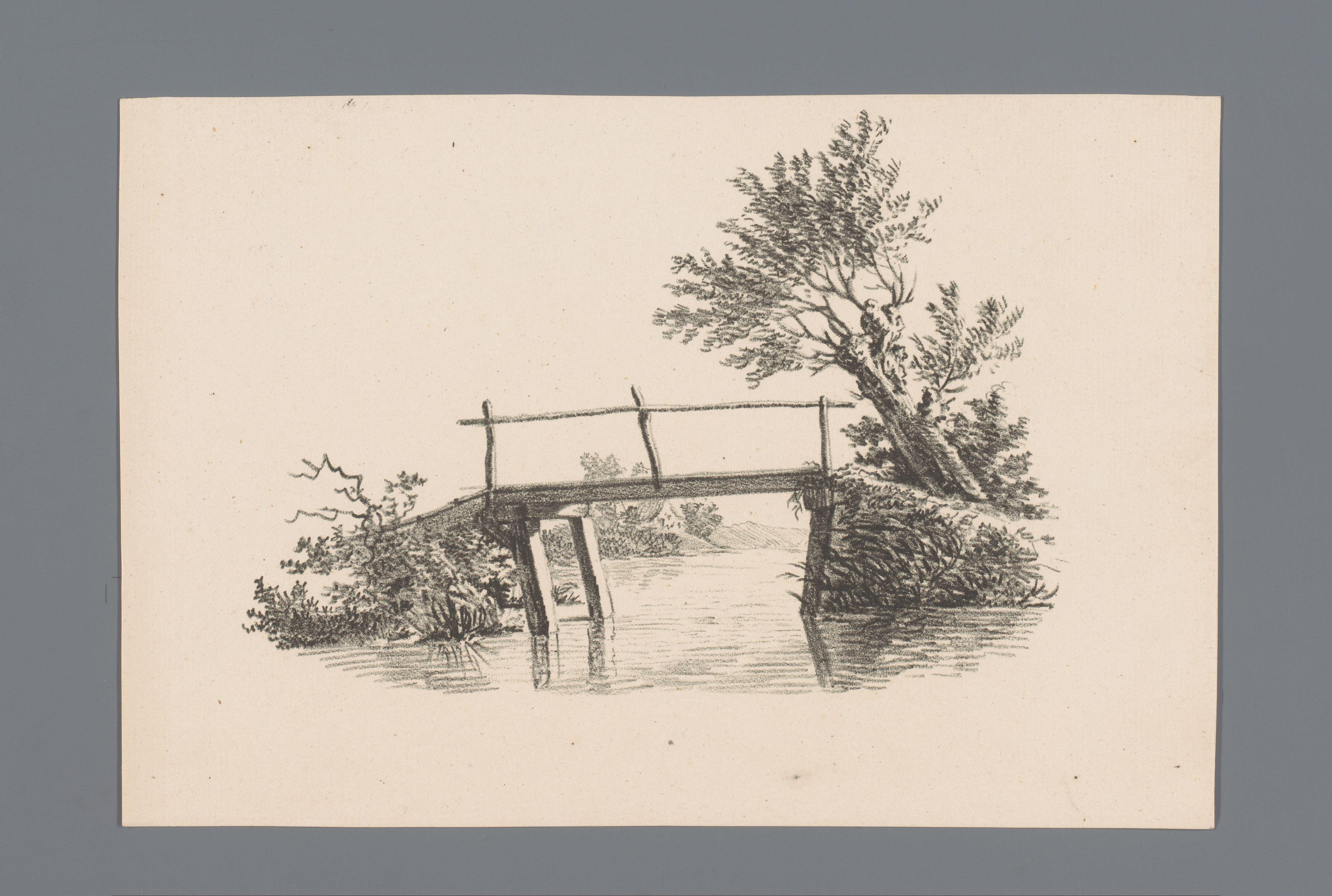 Brug en een knotwilg