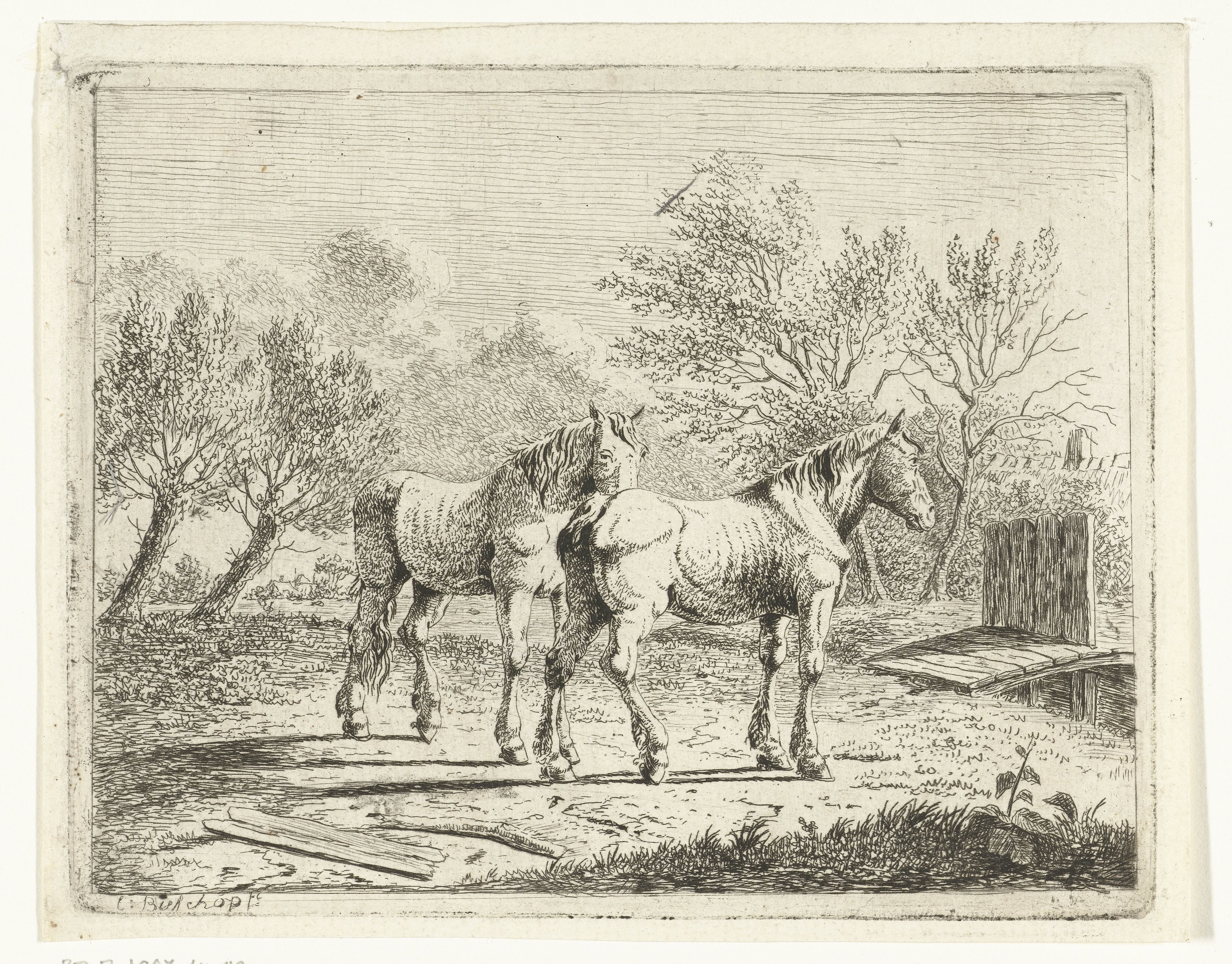 Weidelandschap met twee paarden bij bruggetje en boerderij