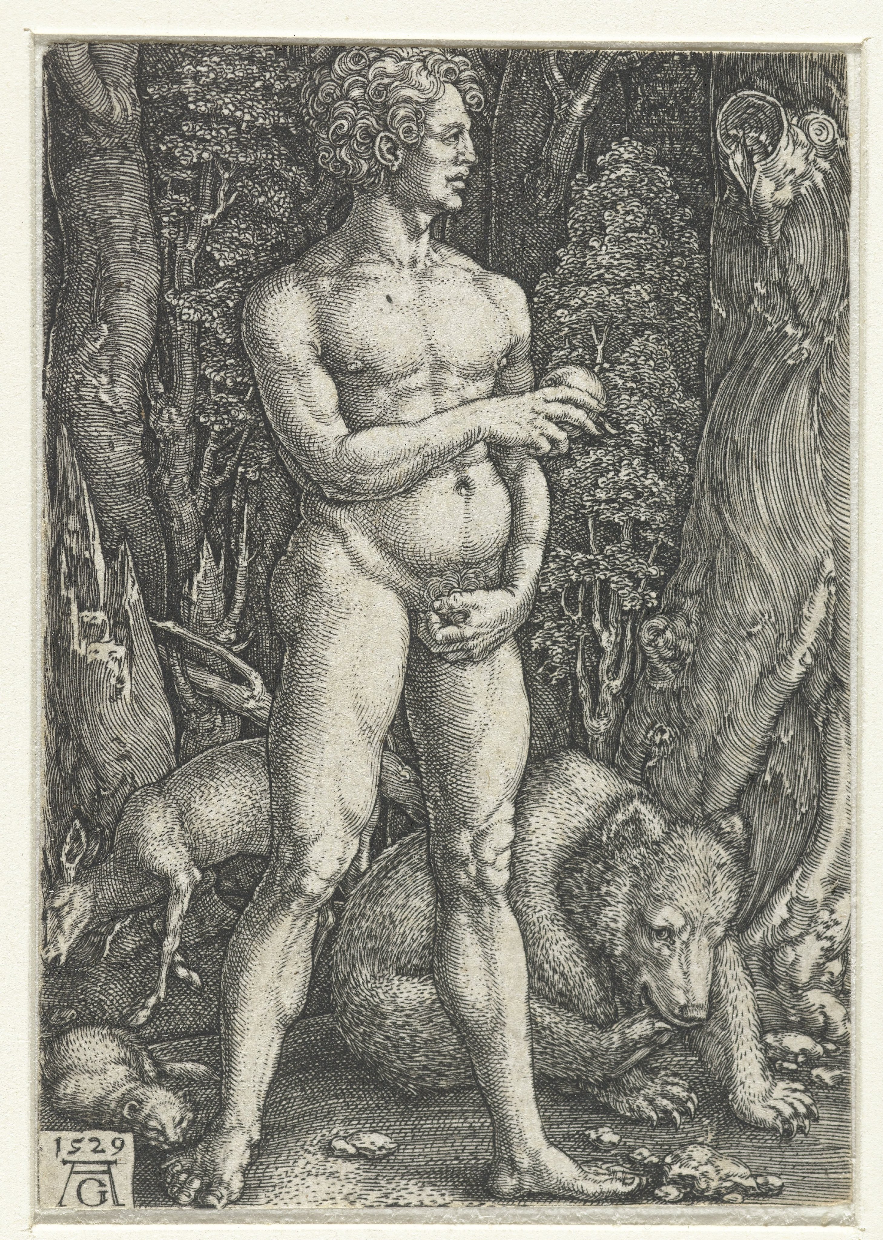 Adam
