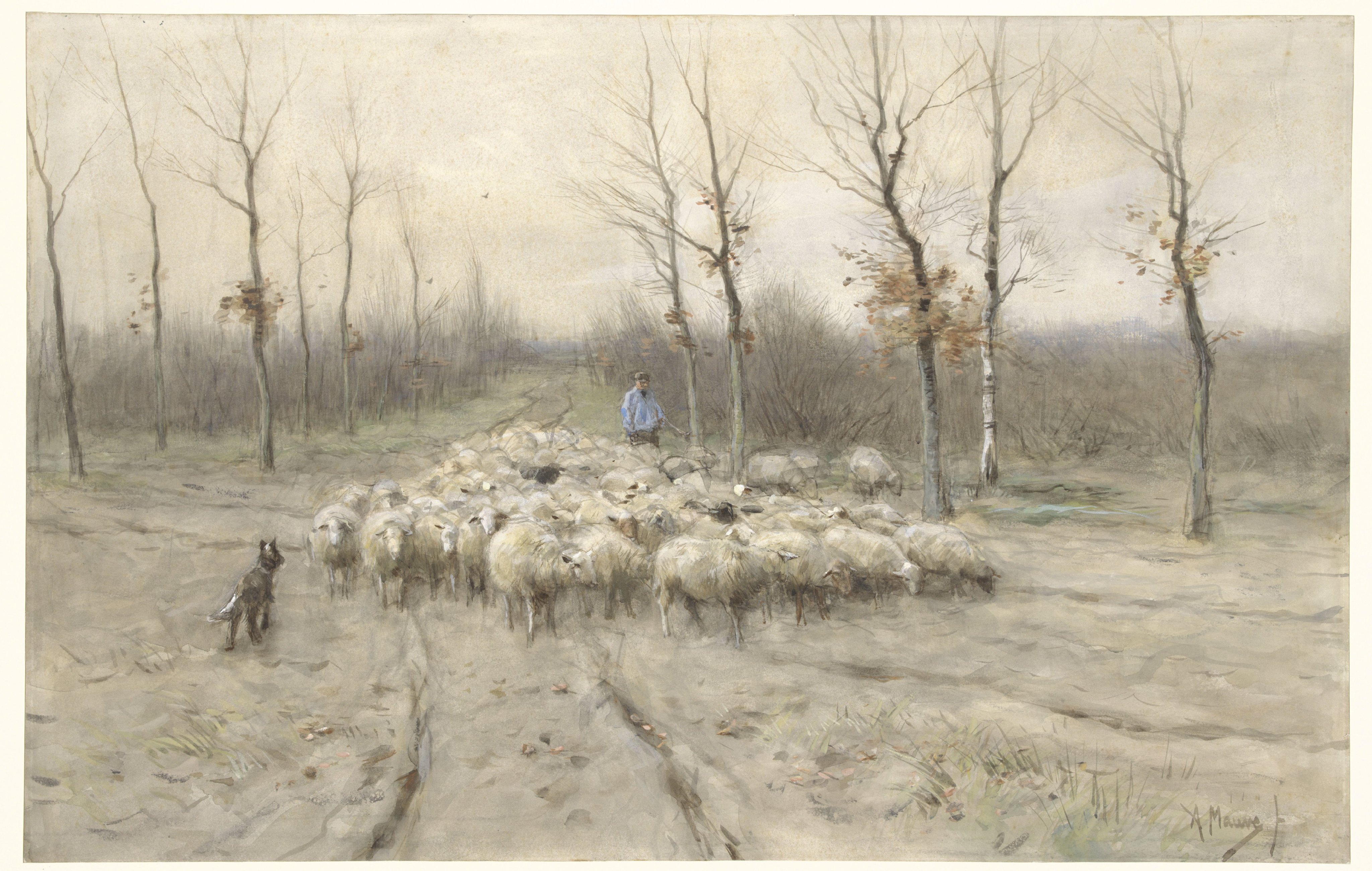 Schapenkudde op de heide bij Laren