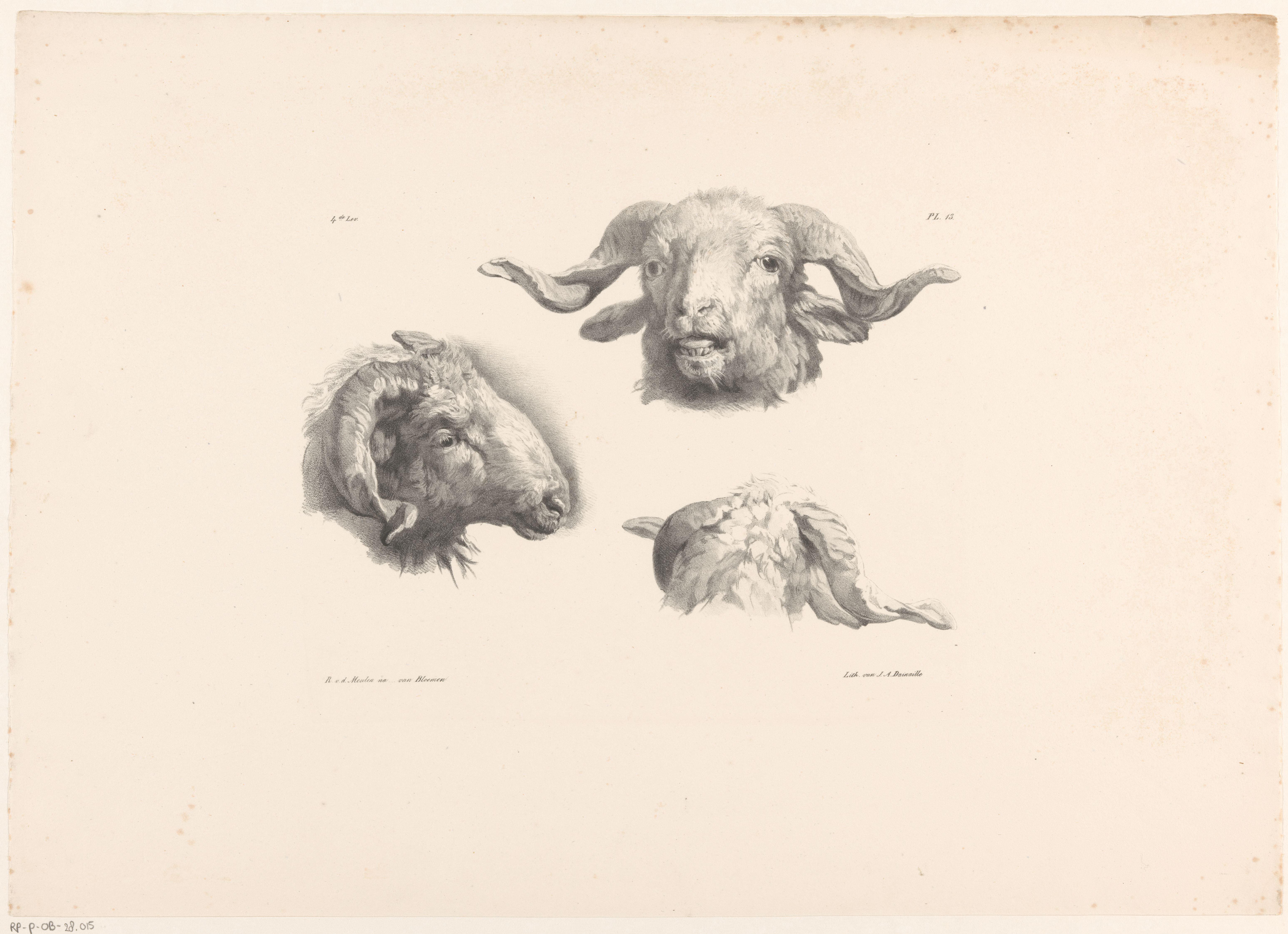 Drie ramskoppen