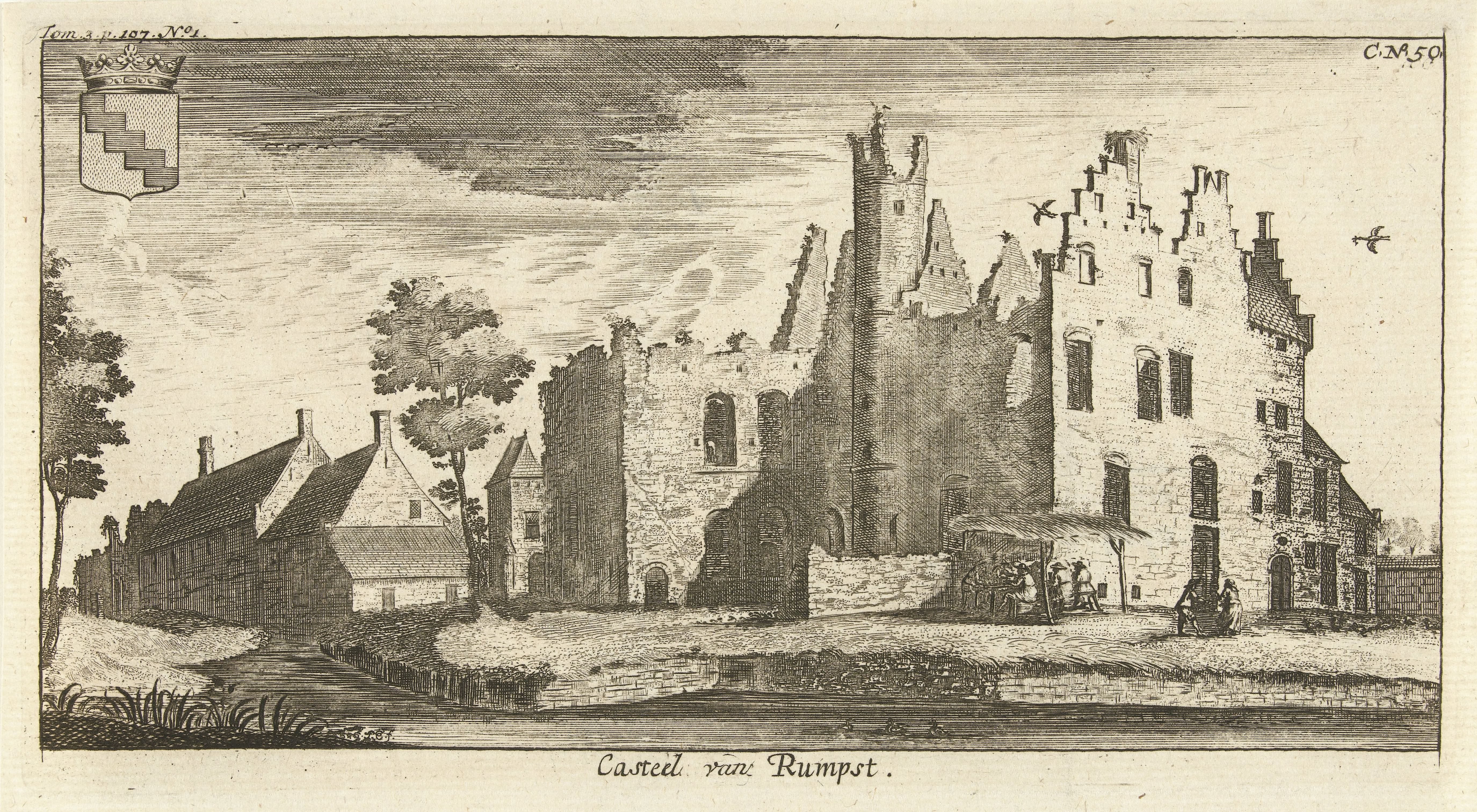 Gezicht op de ruïne van het kasteel van Rumst