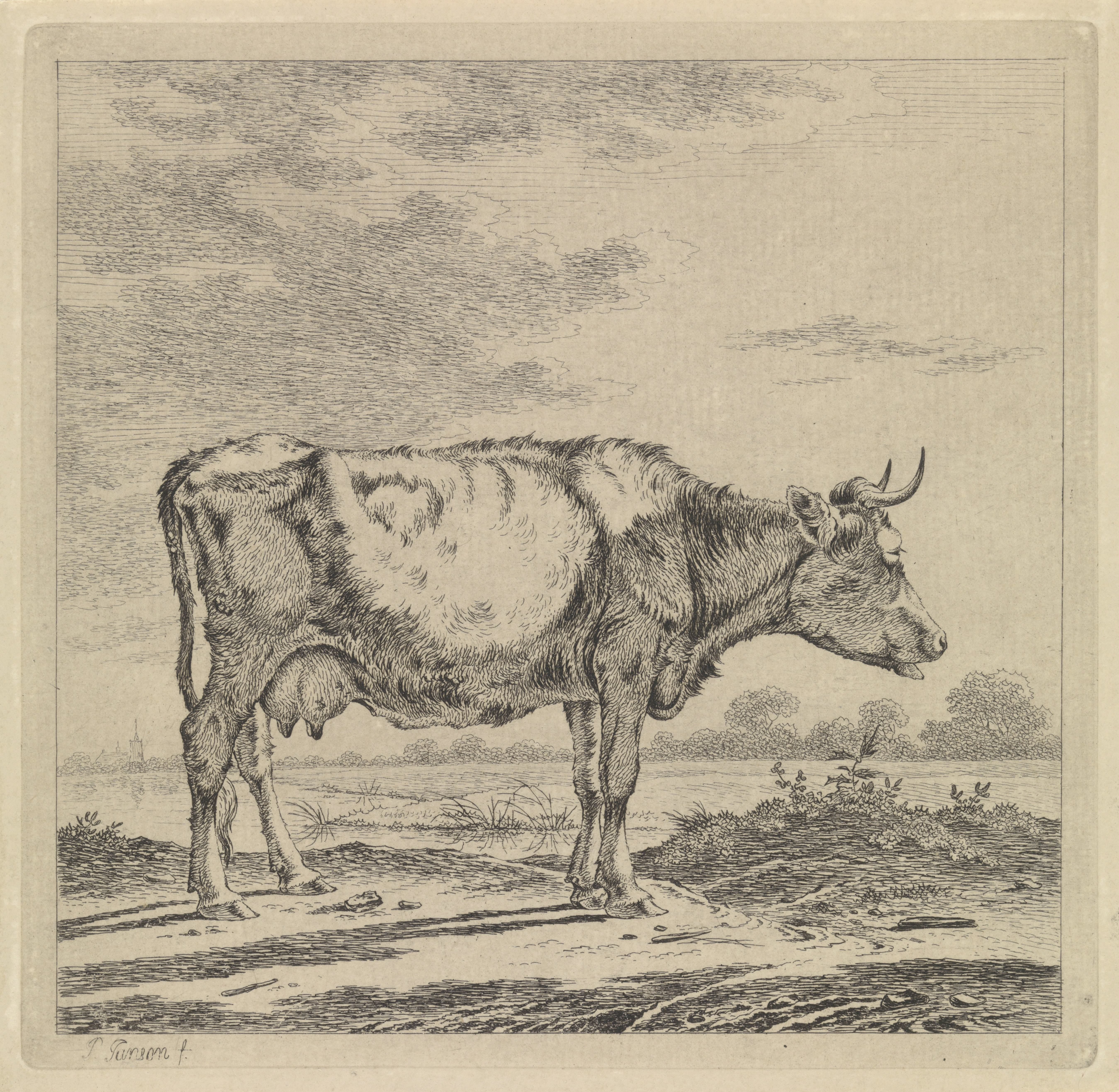 Landschap met koe aan waterkant