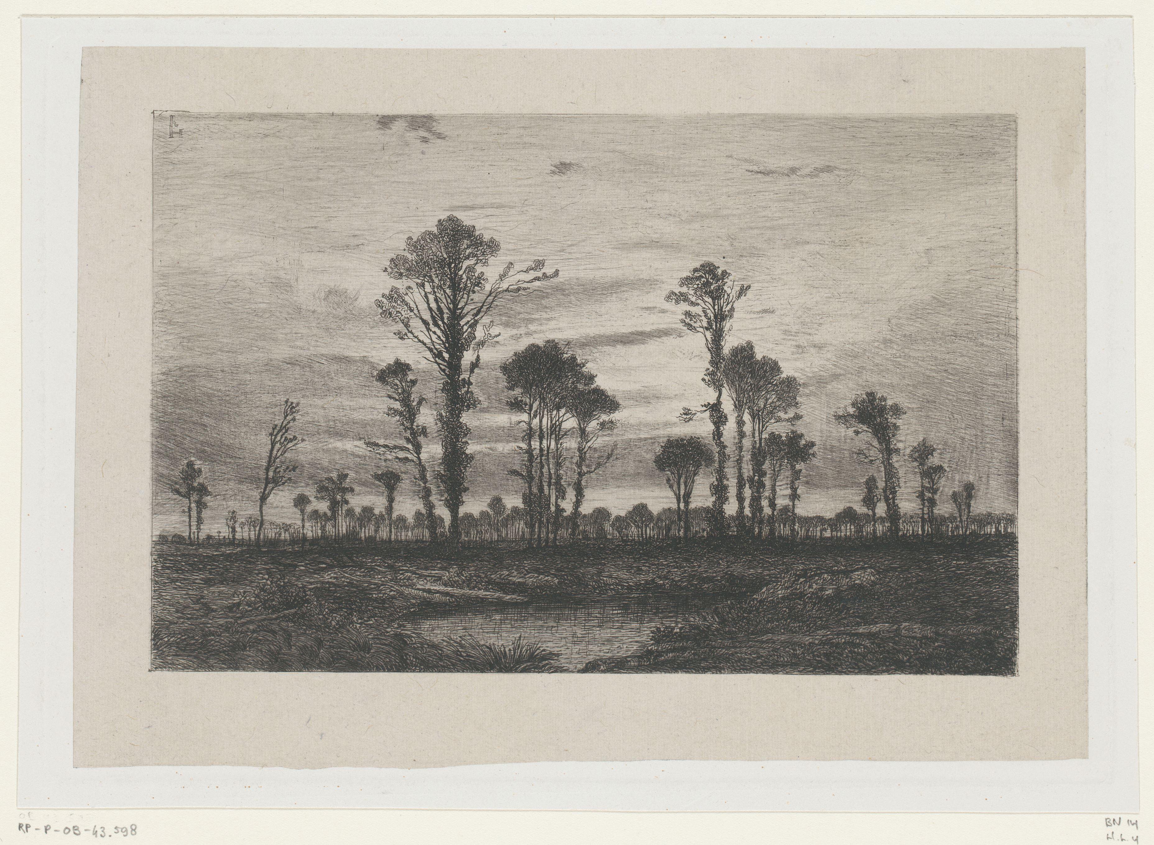 Landschap met hoge bomen en een vijver