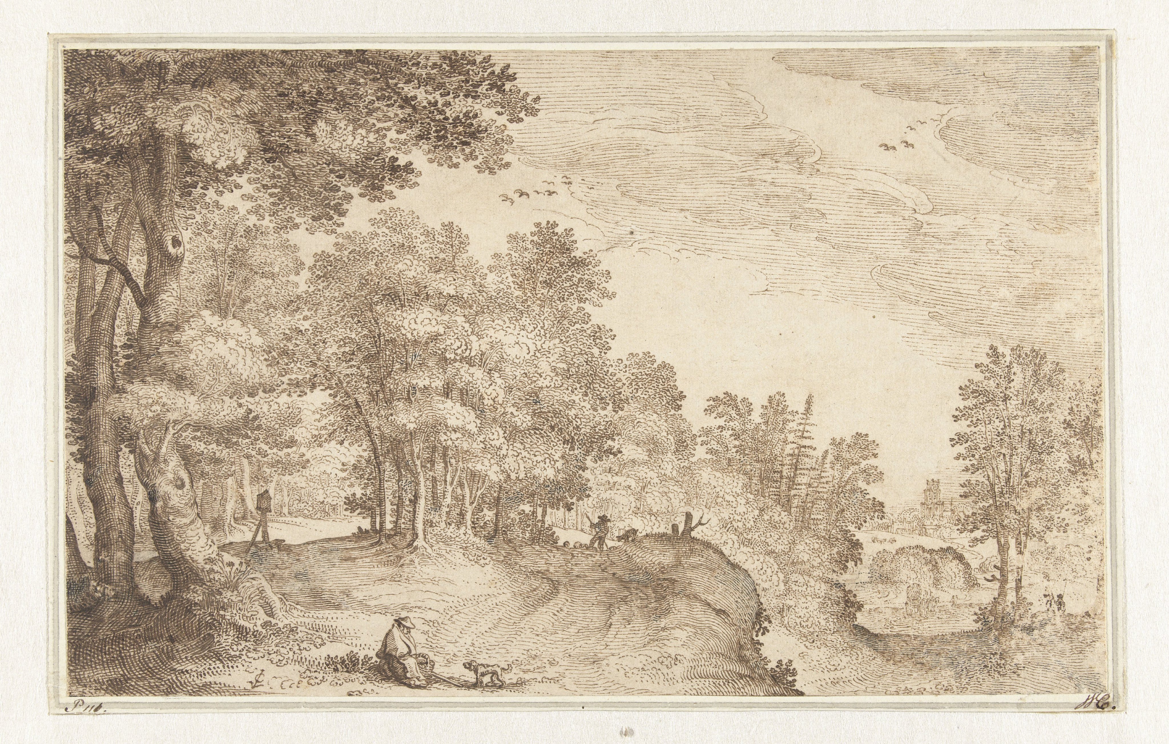 Boslandschap