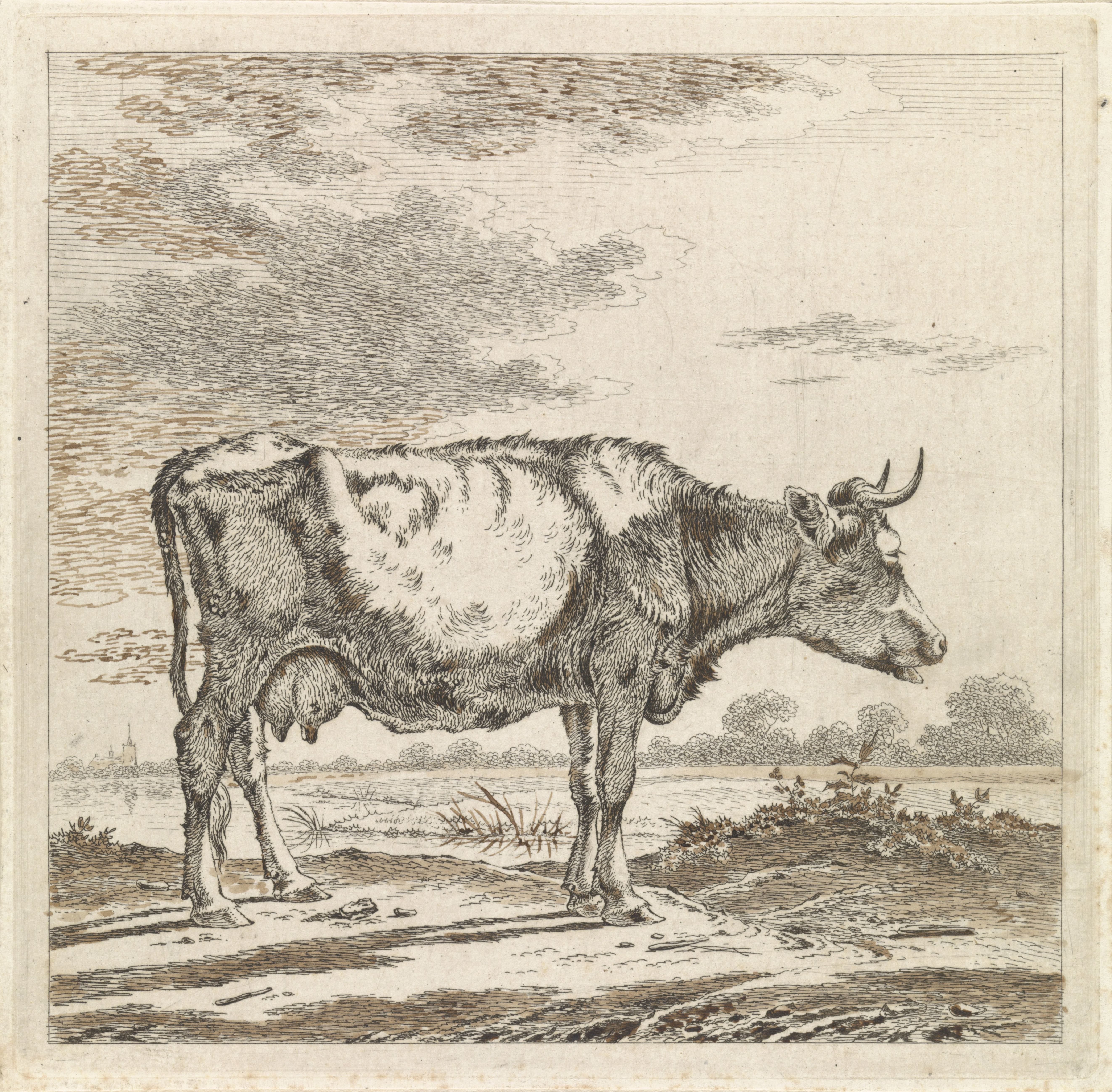 Landschap met koe aan waterkant