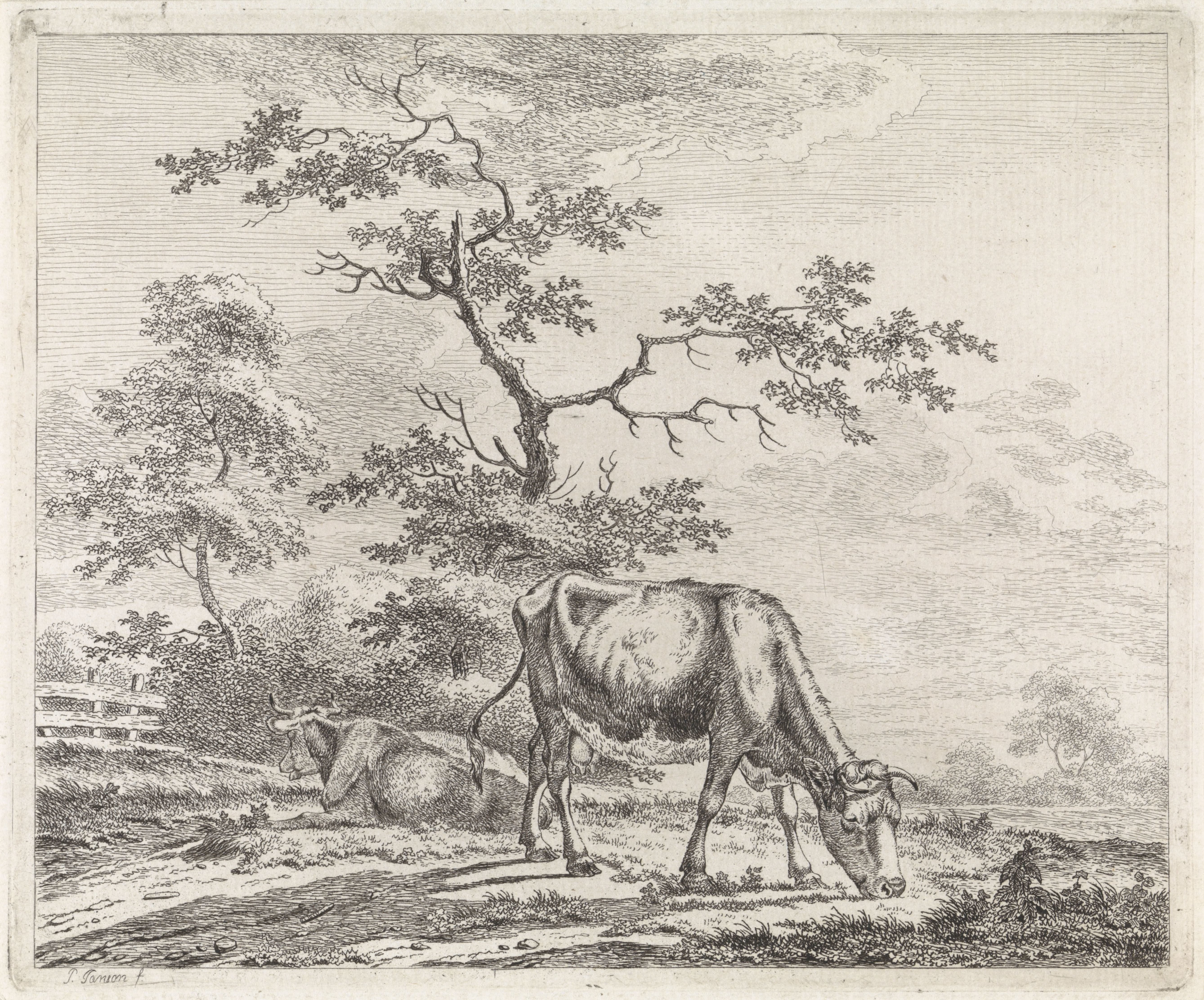 Landschap met grazende koe