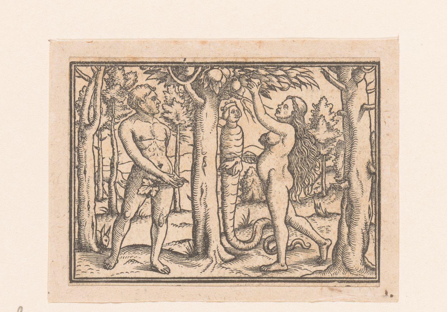 Zondeval
