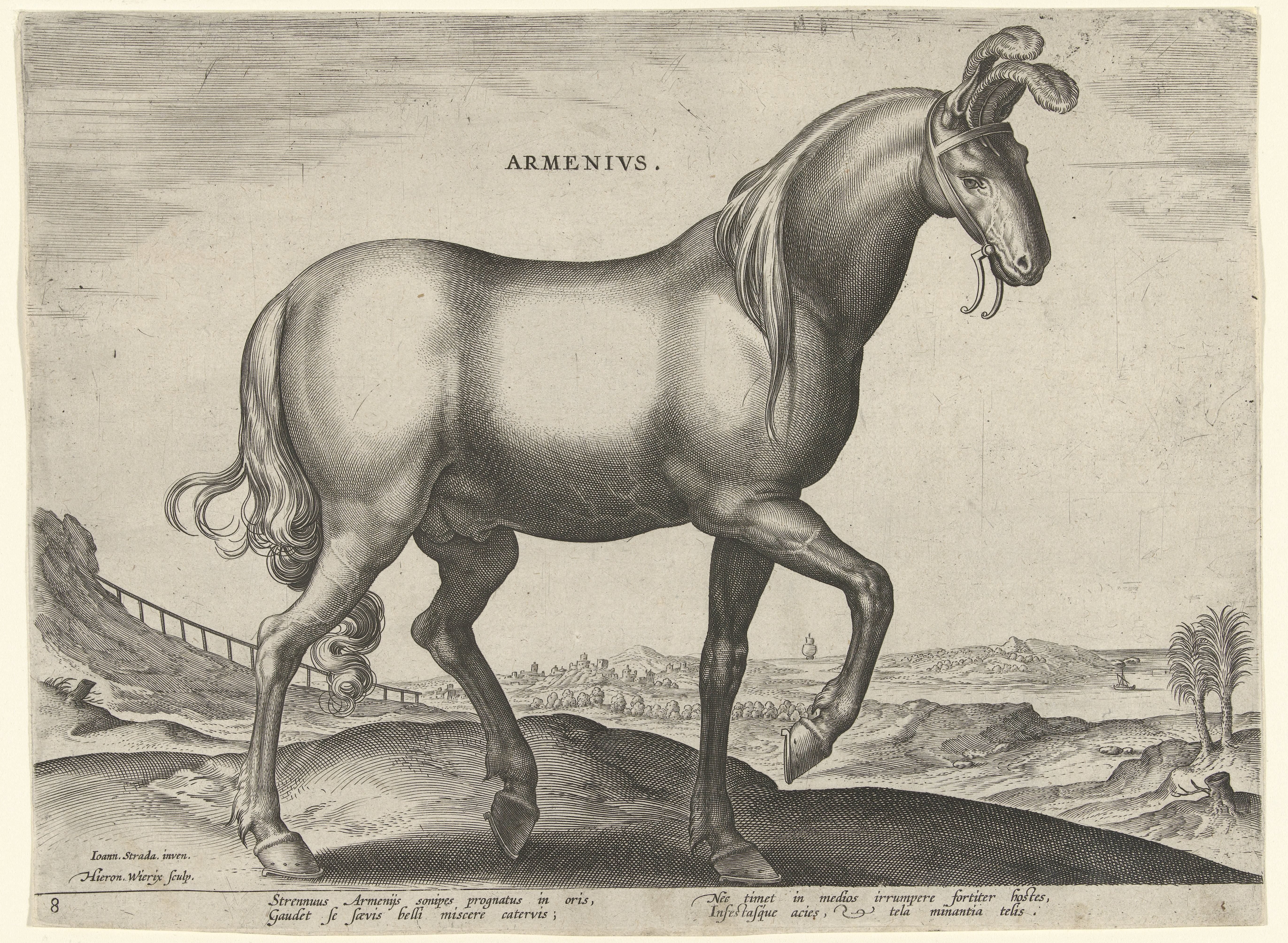 Paard uit Armenië (Armenius)