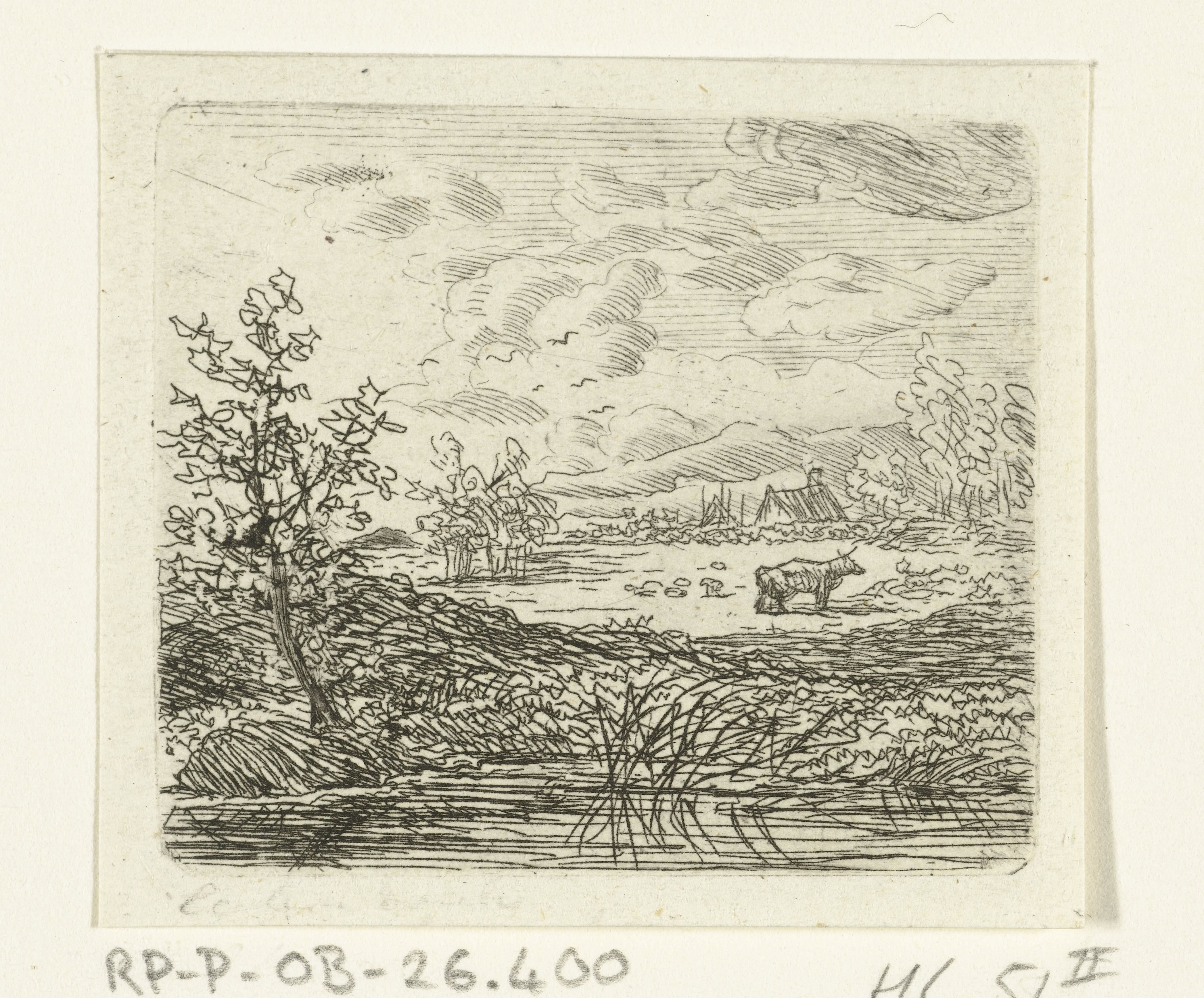 Waterlandschap met koe