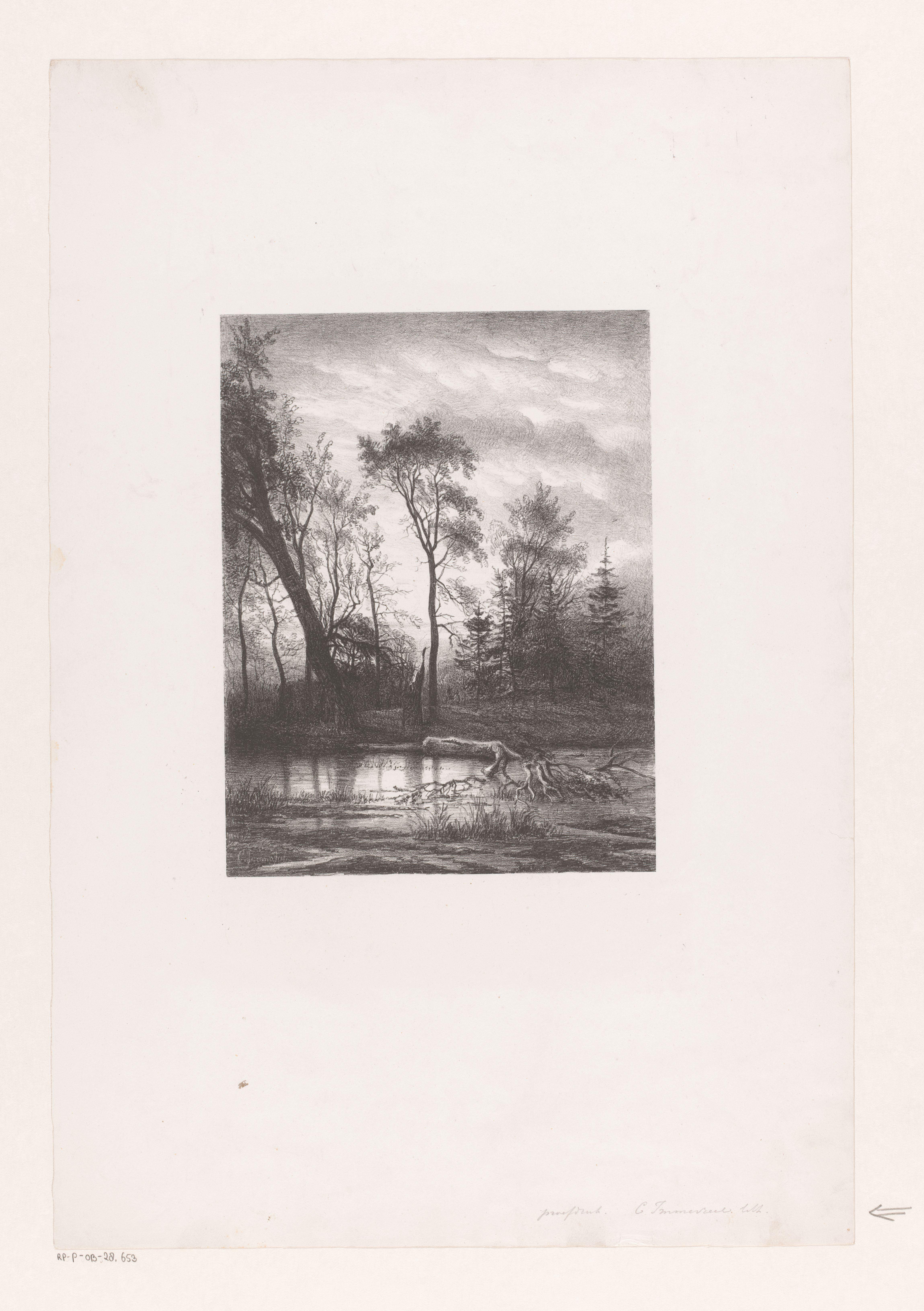Boslandschap met afgebroken boom