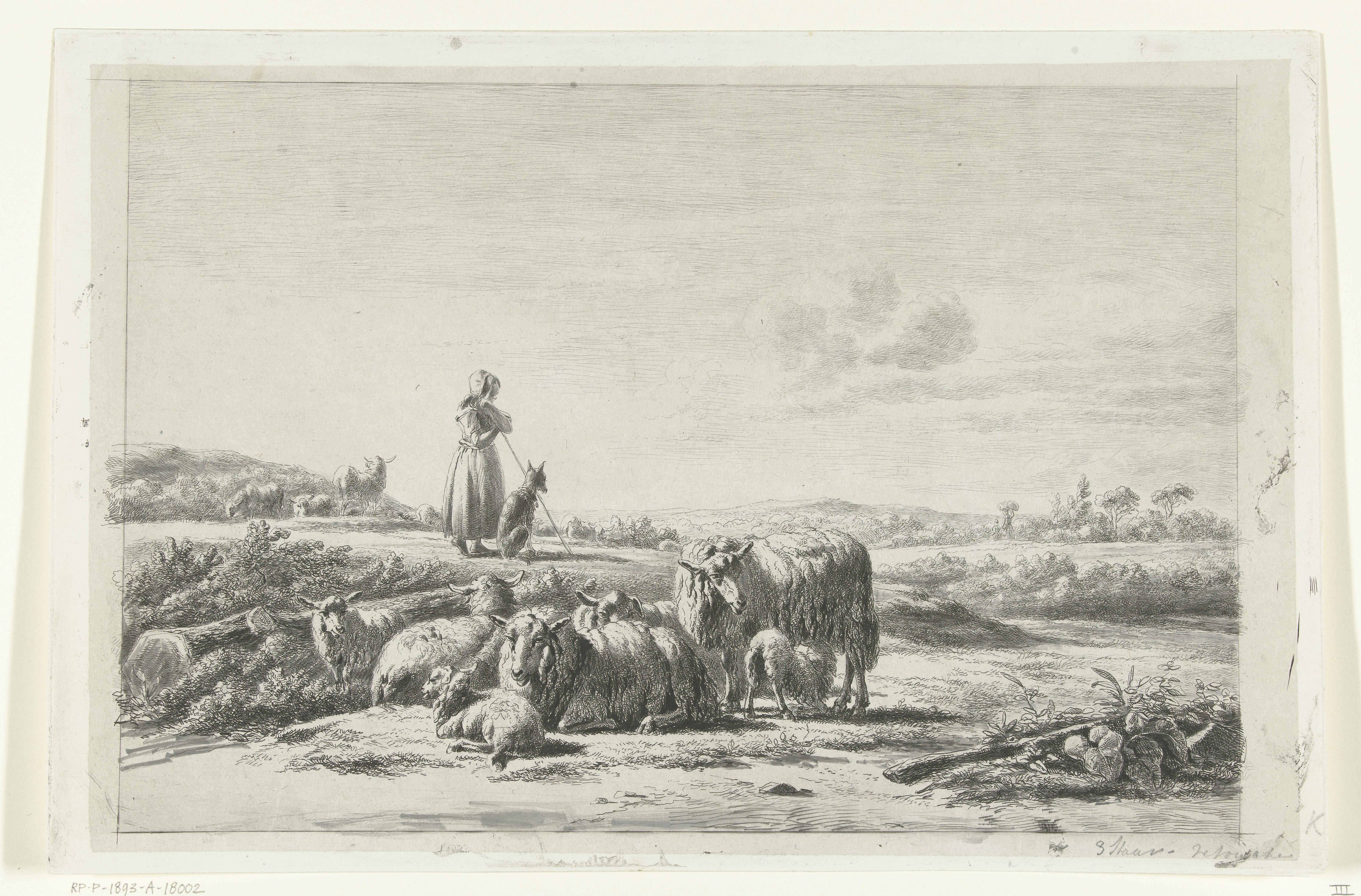 Landschap met herderin en hond bij kudde schapen