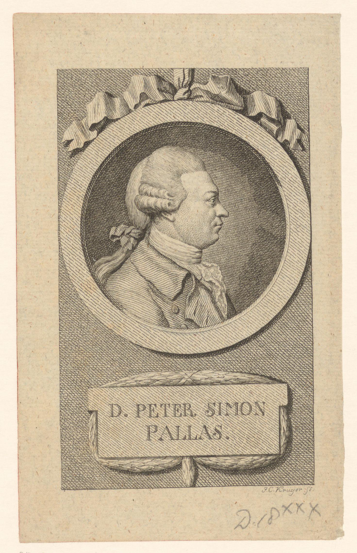 Portret van Peter Simon Pallas