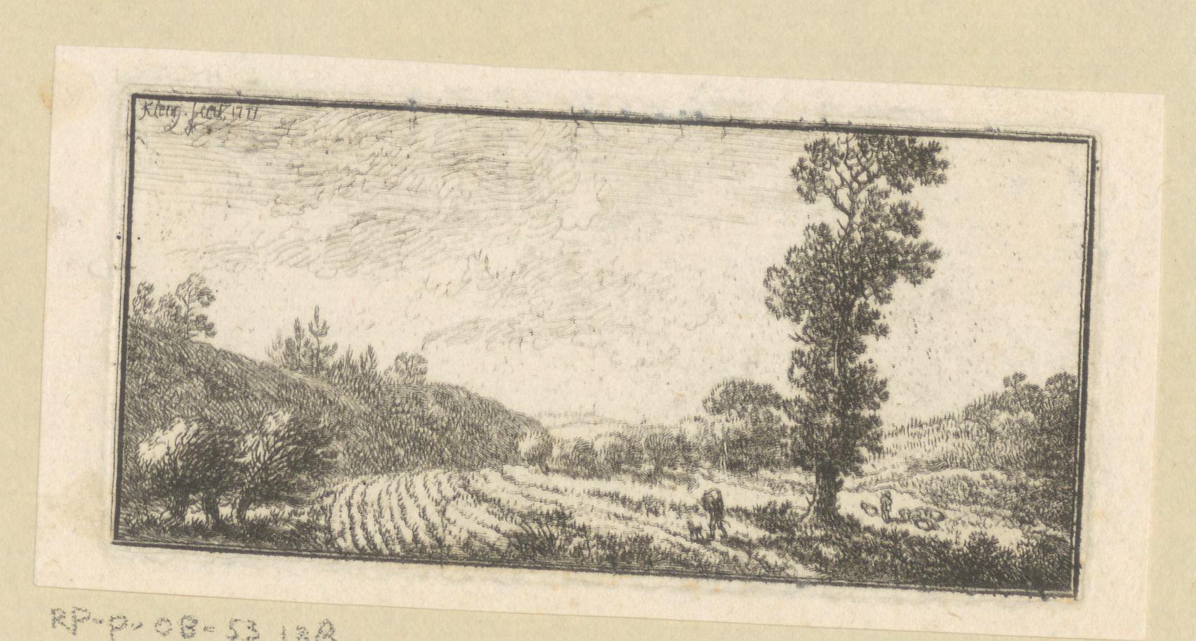 Landschap met reiziger bij een grote boom