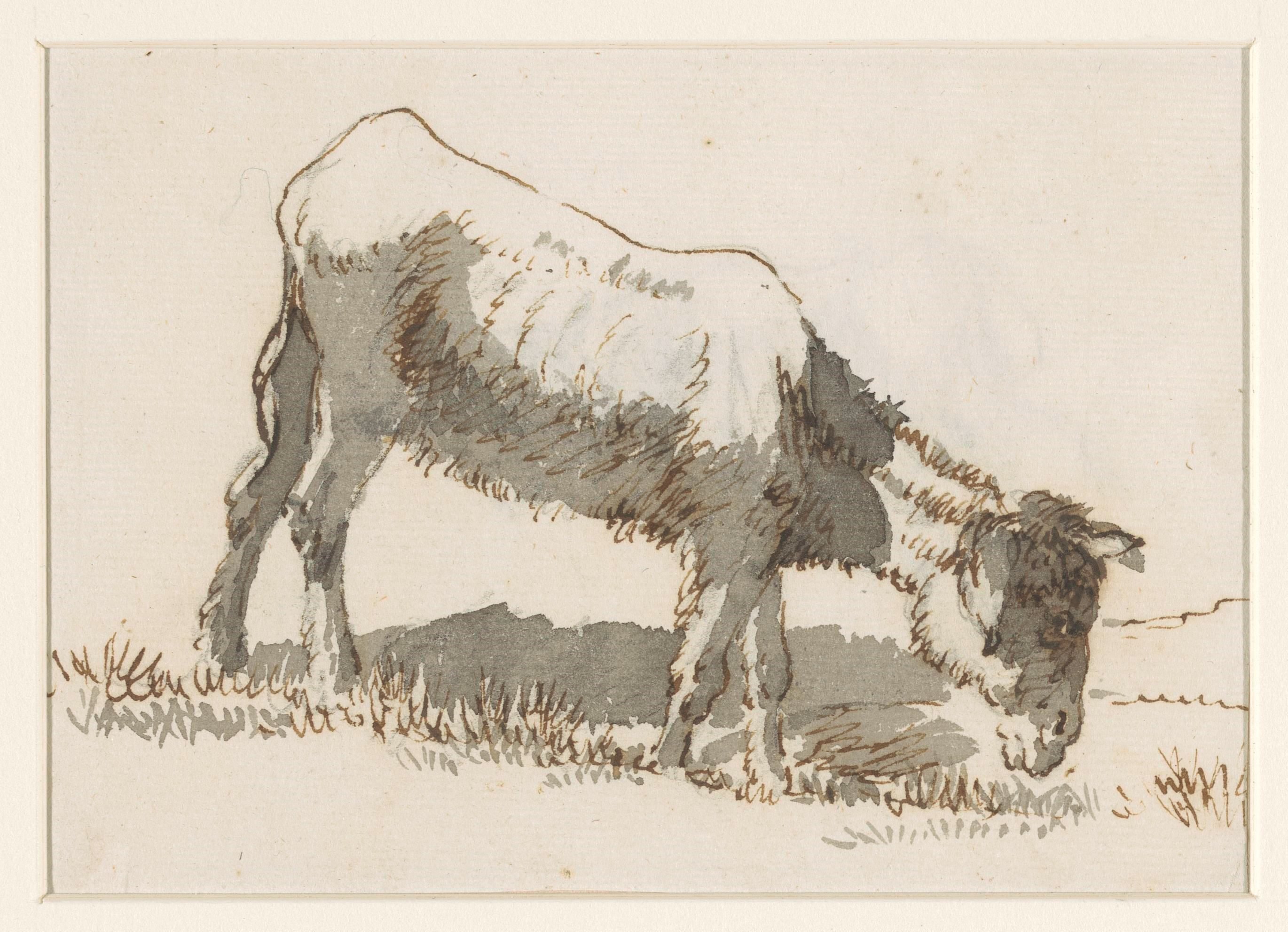 Grazende ezel, van rechts