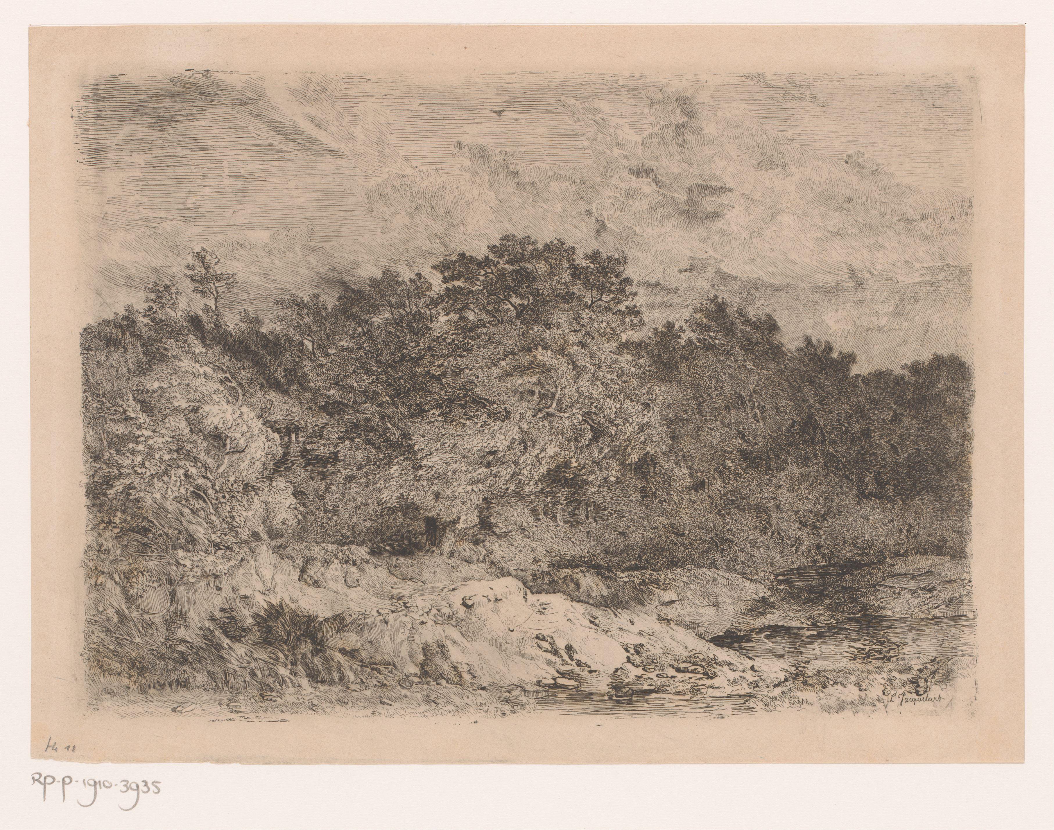 Heuvelachtig landschap met bomen in de wind