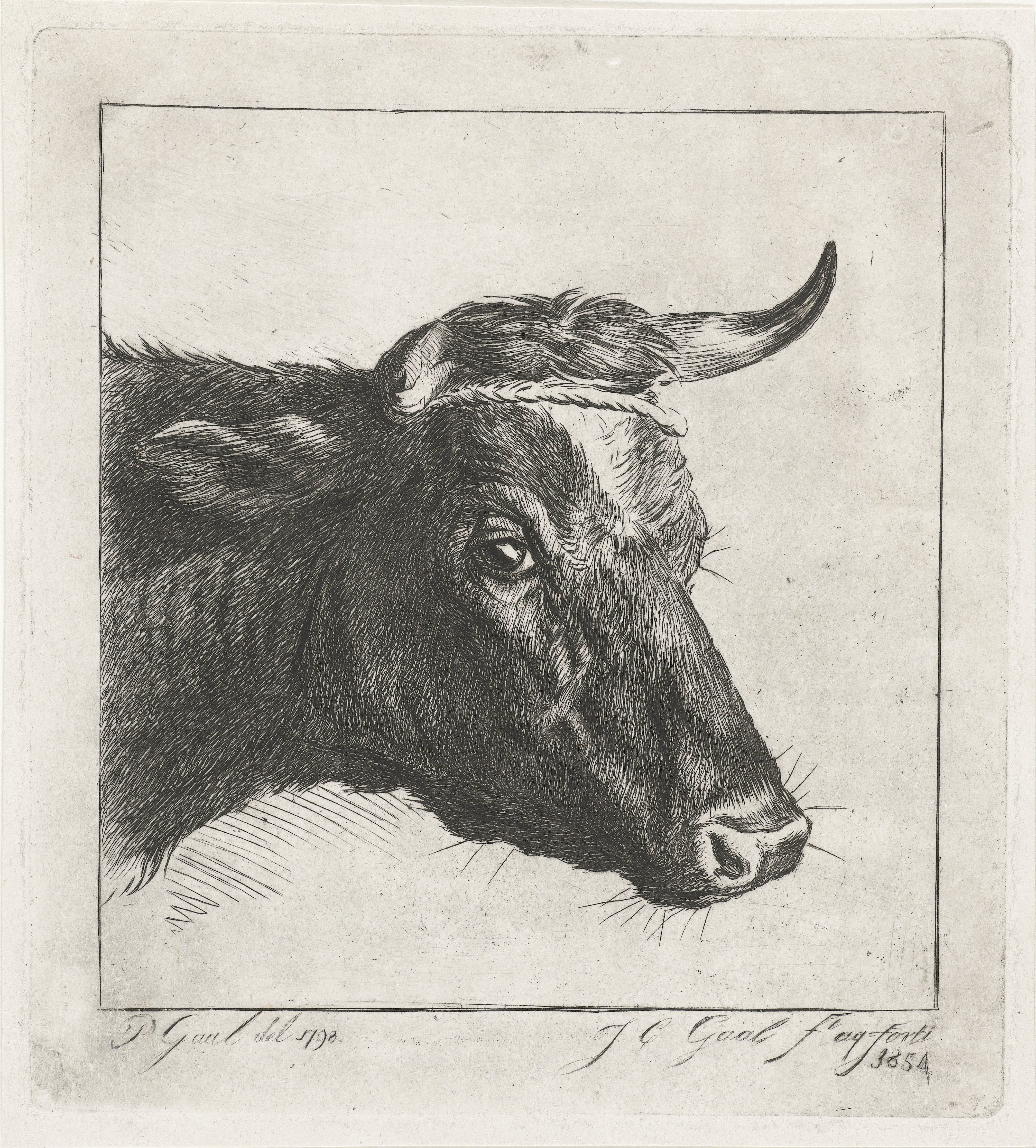 Jacobus Cornelis Gaal