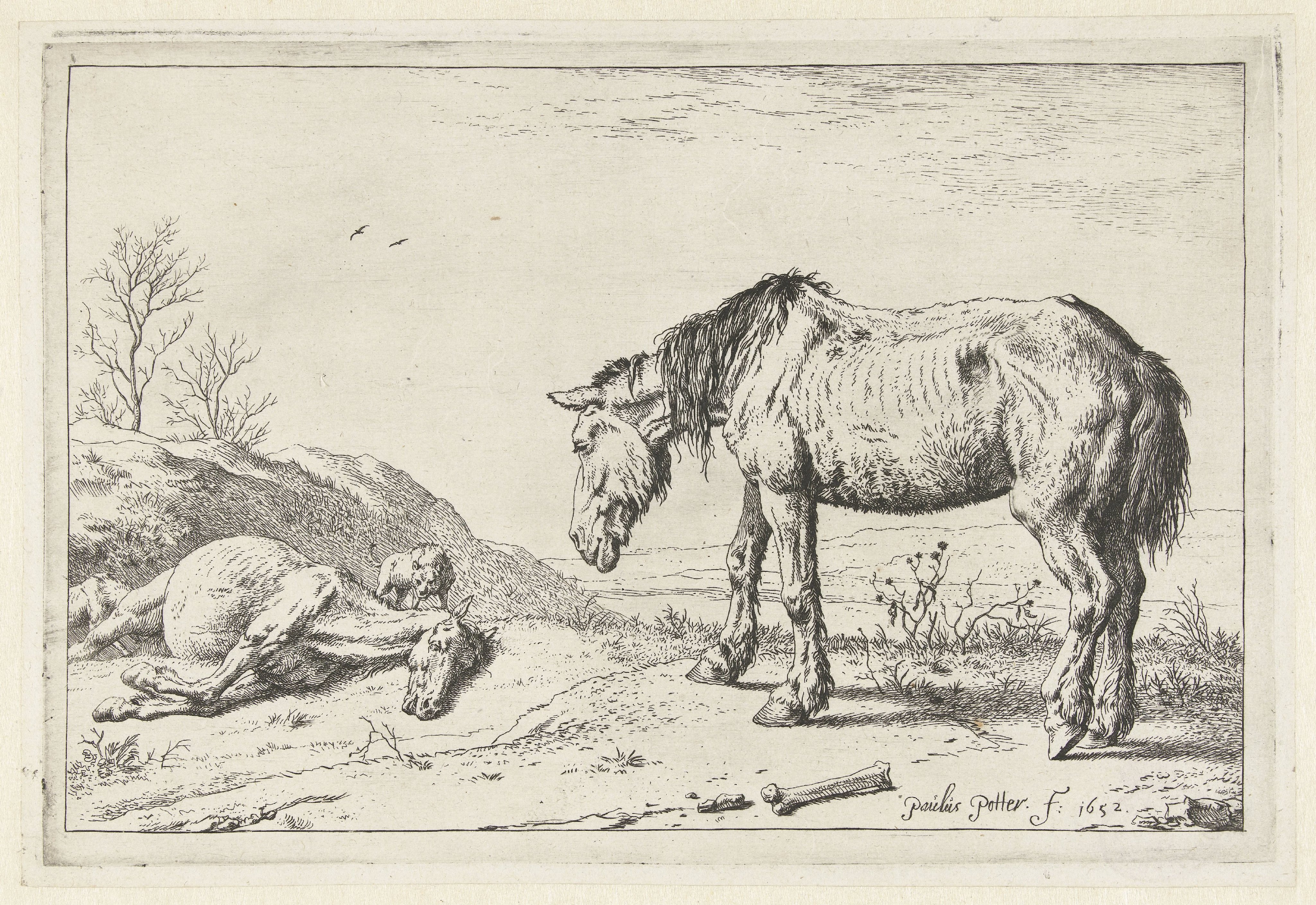Het stervende paard