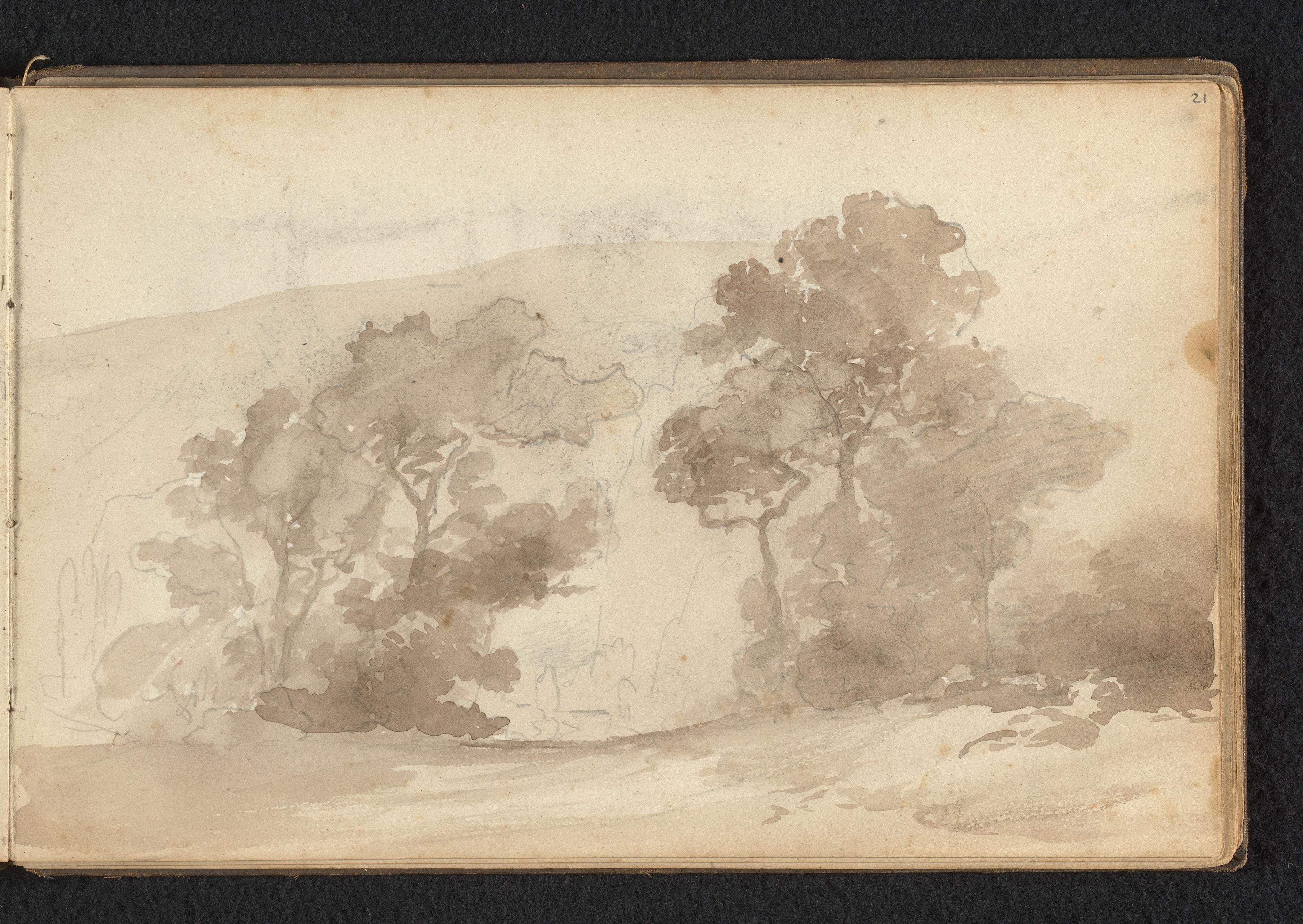 Heuvelig boslandschap