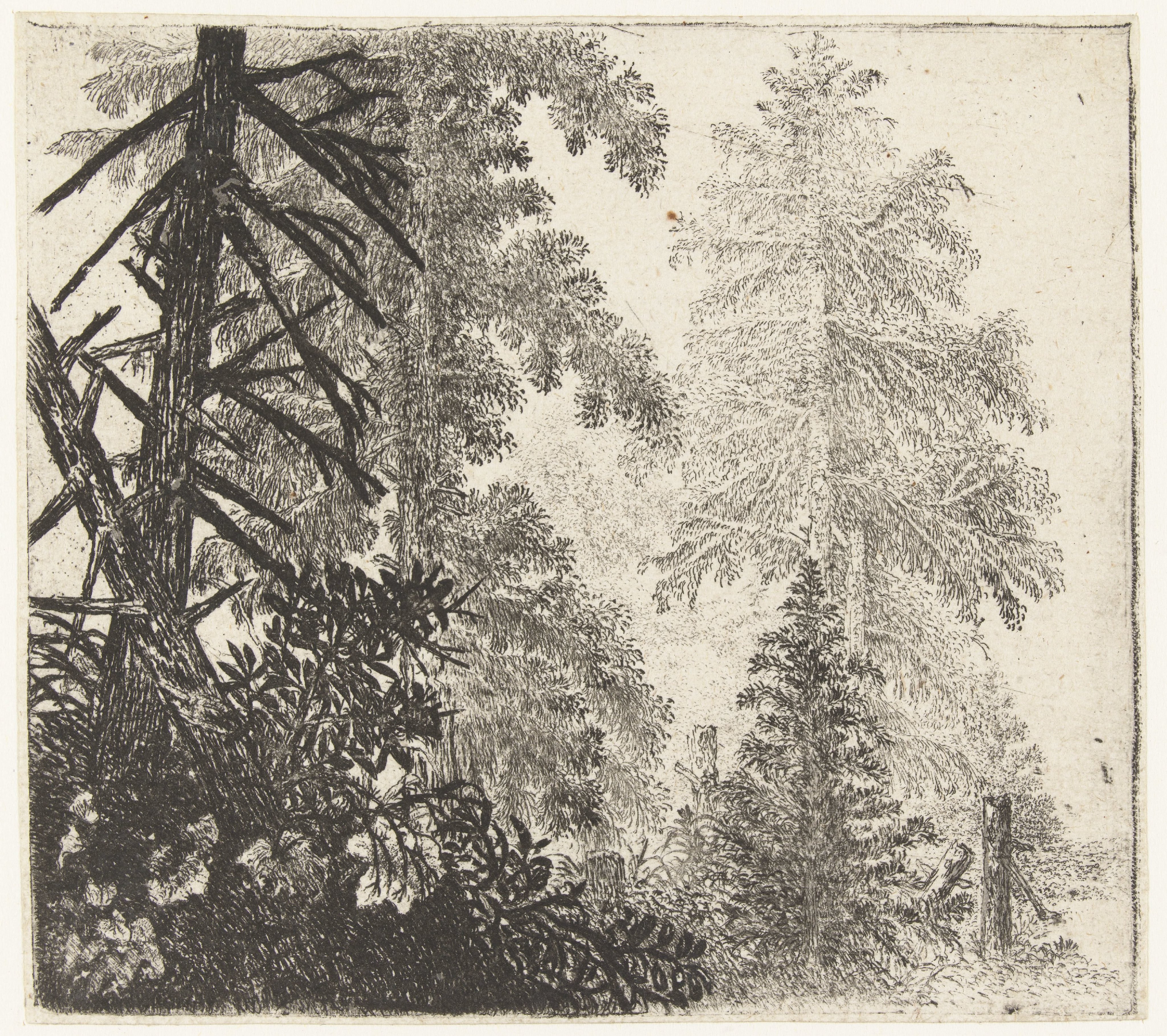 Landschap met de twee sparren