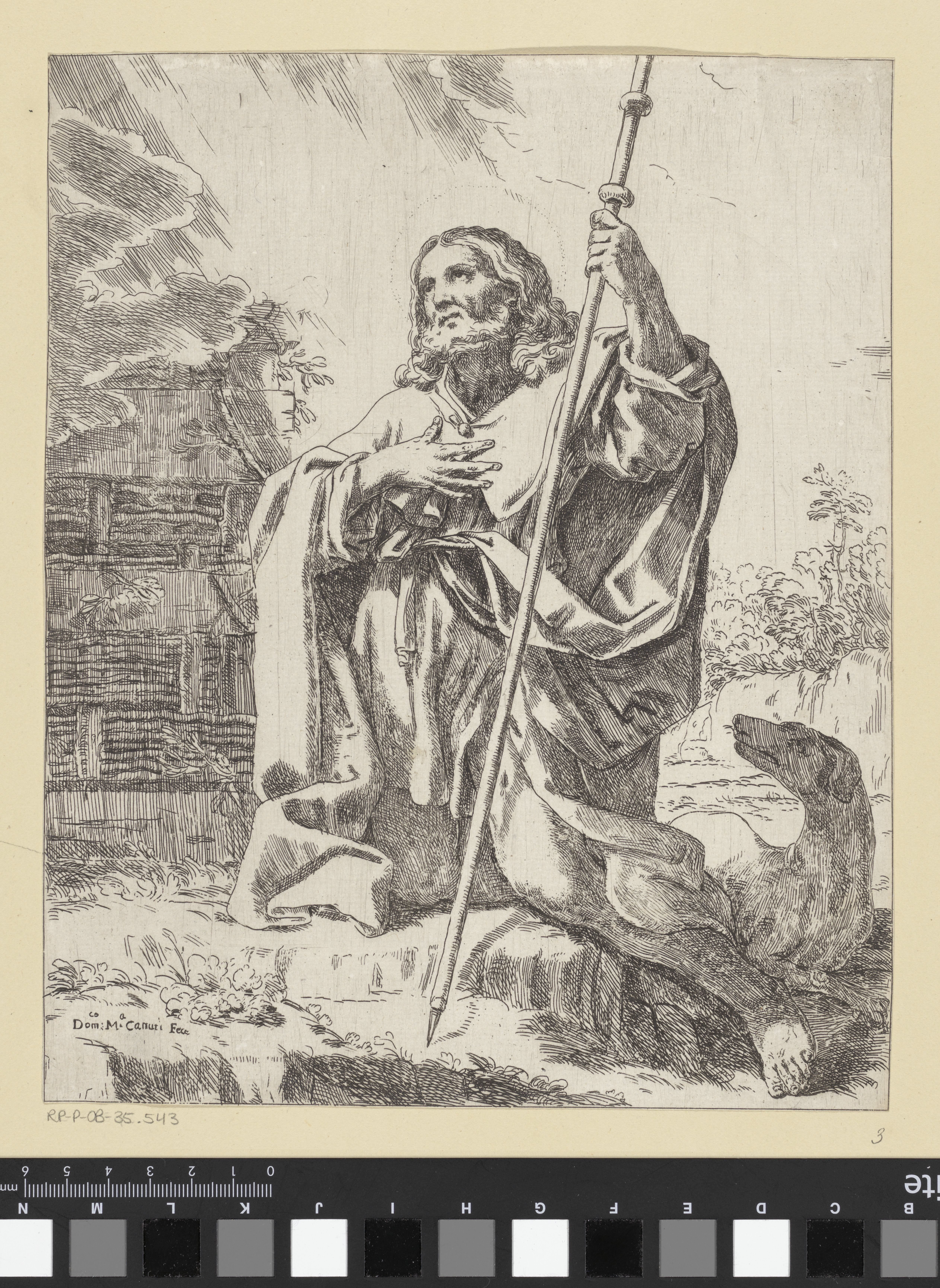 De heilige Rochus